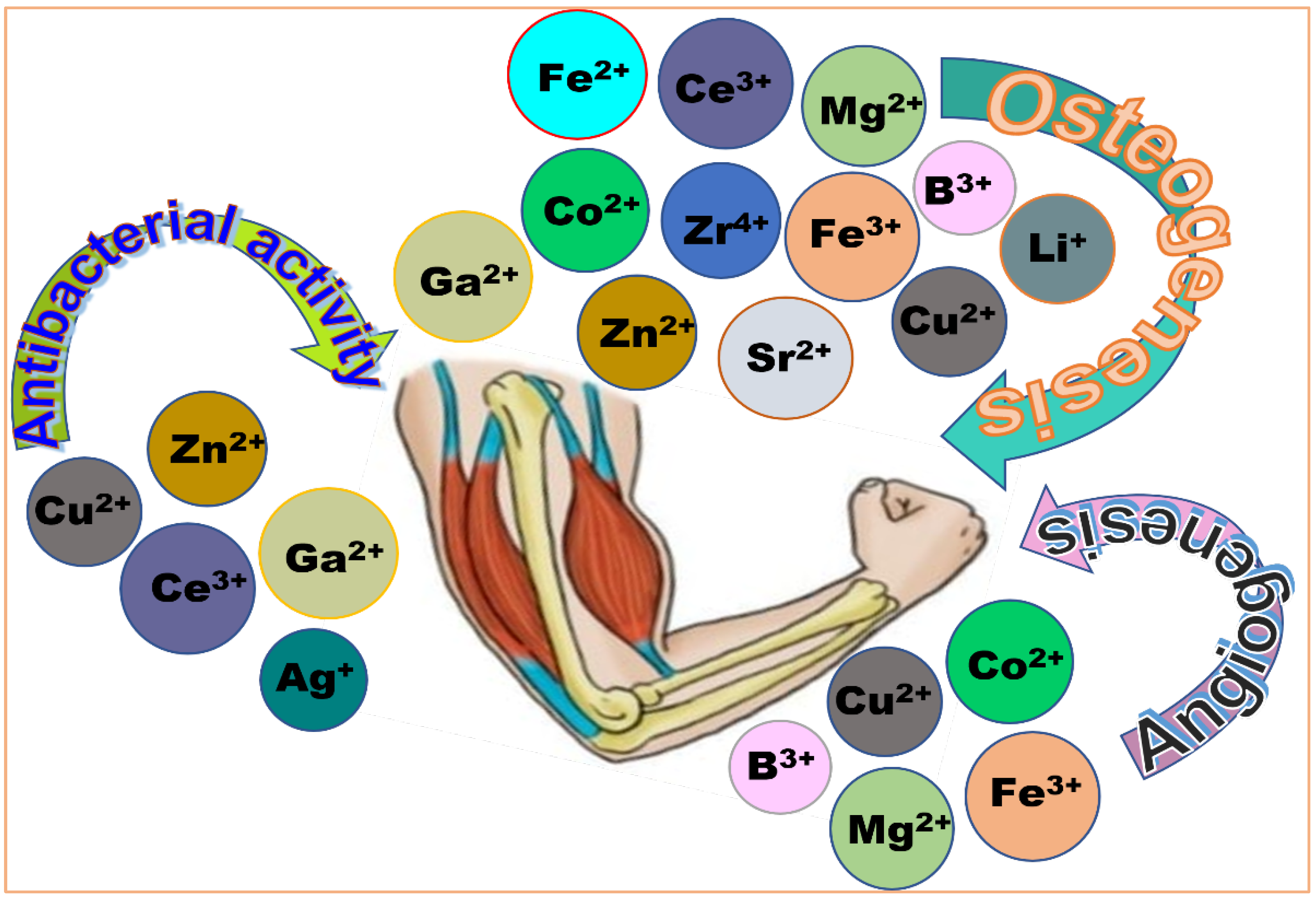Preprints 169605 g004