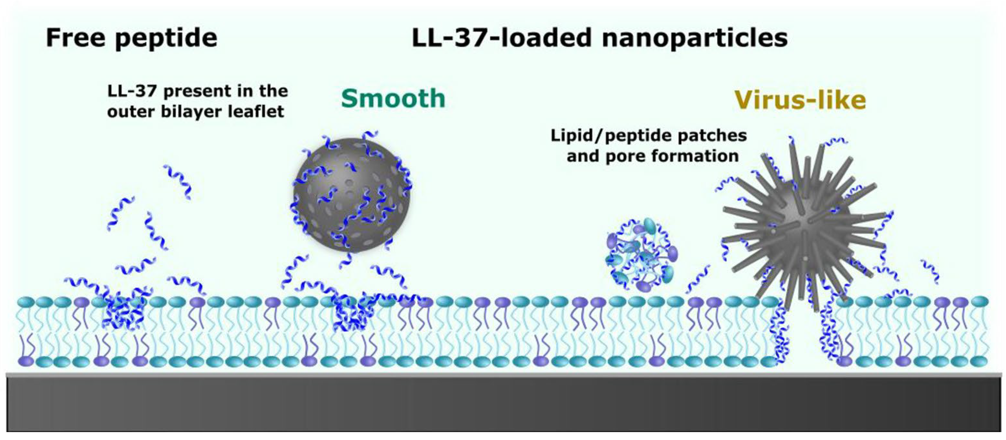 Preprints 169605 g007