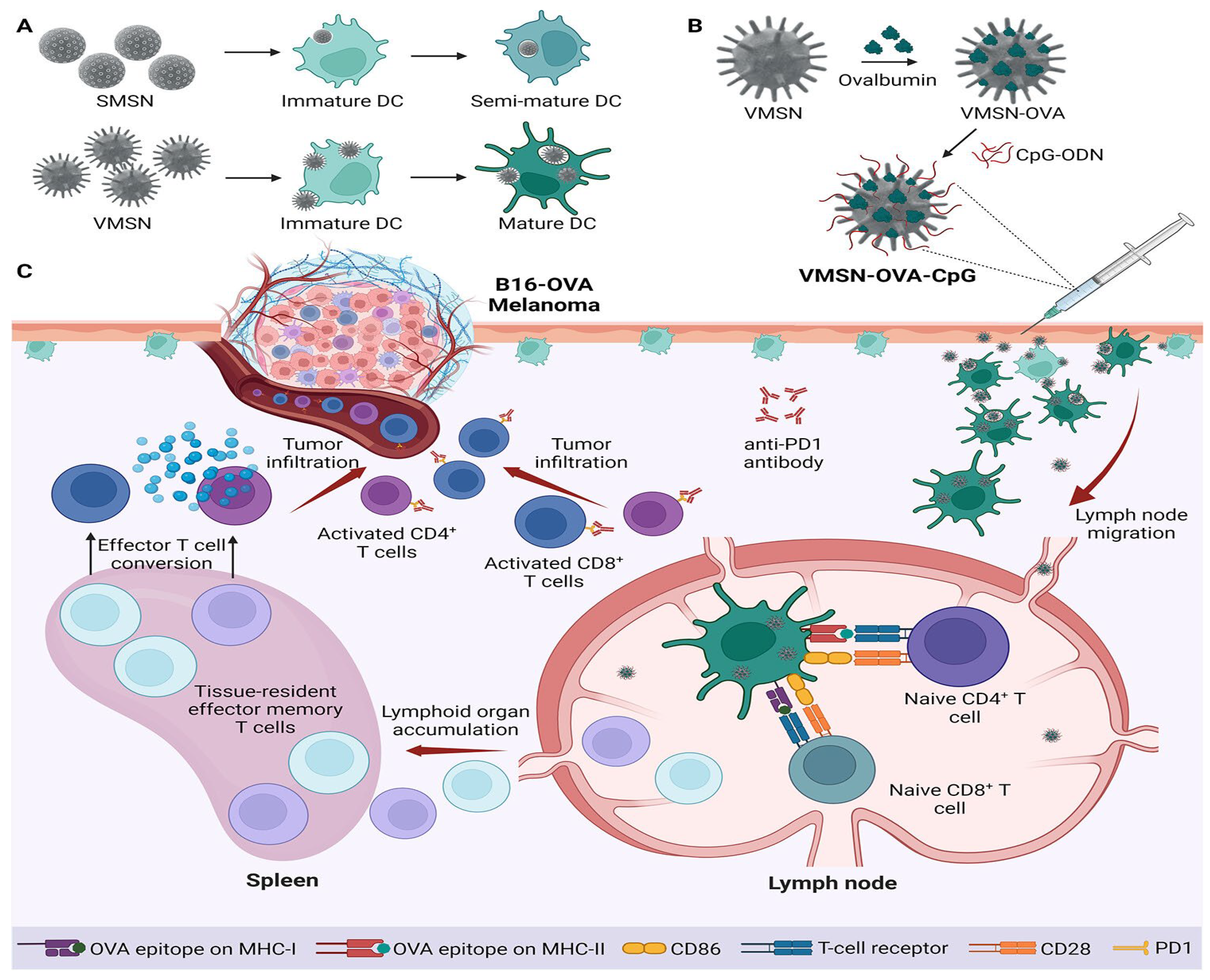 Preprints 169605 g008