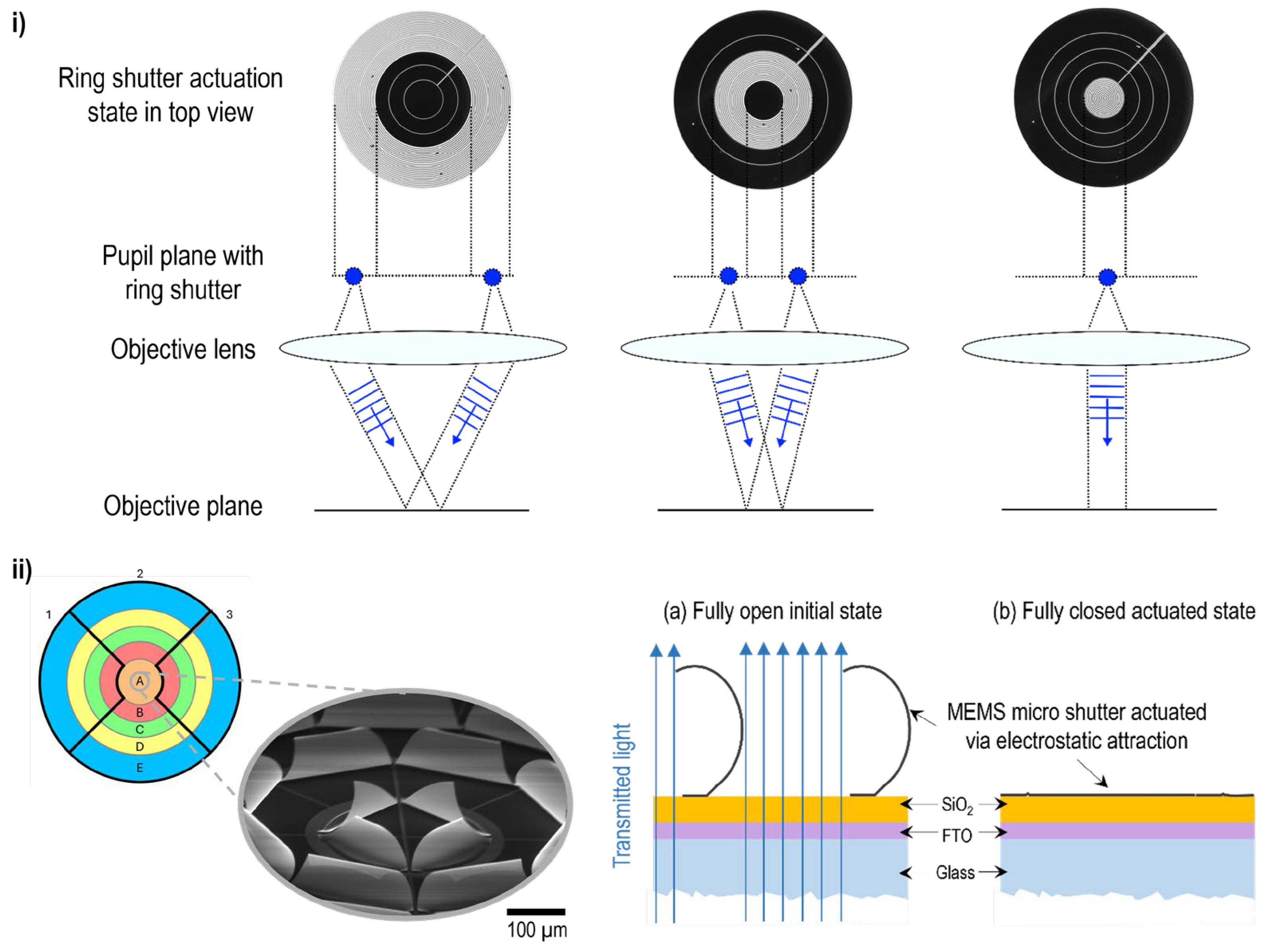 Preprints 141720 g001
