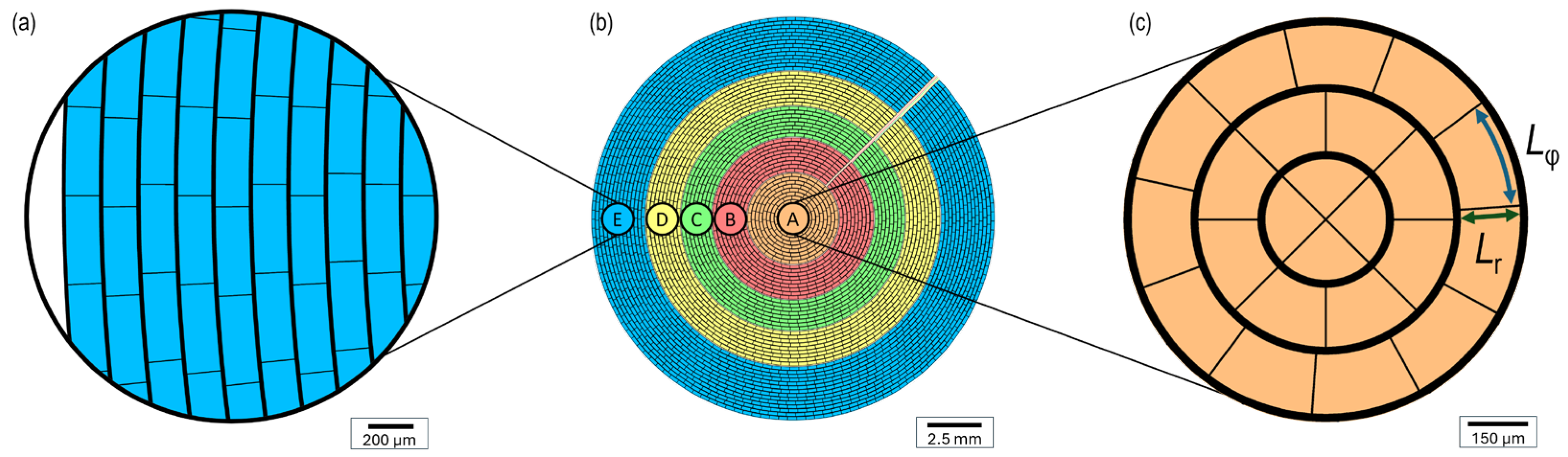 Preprints 141720 g002