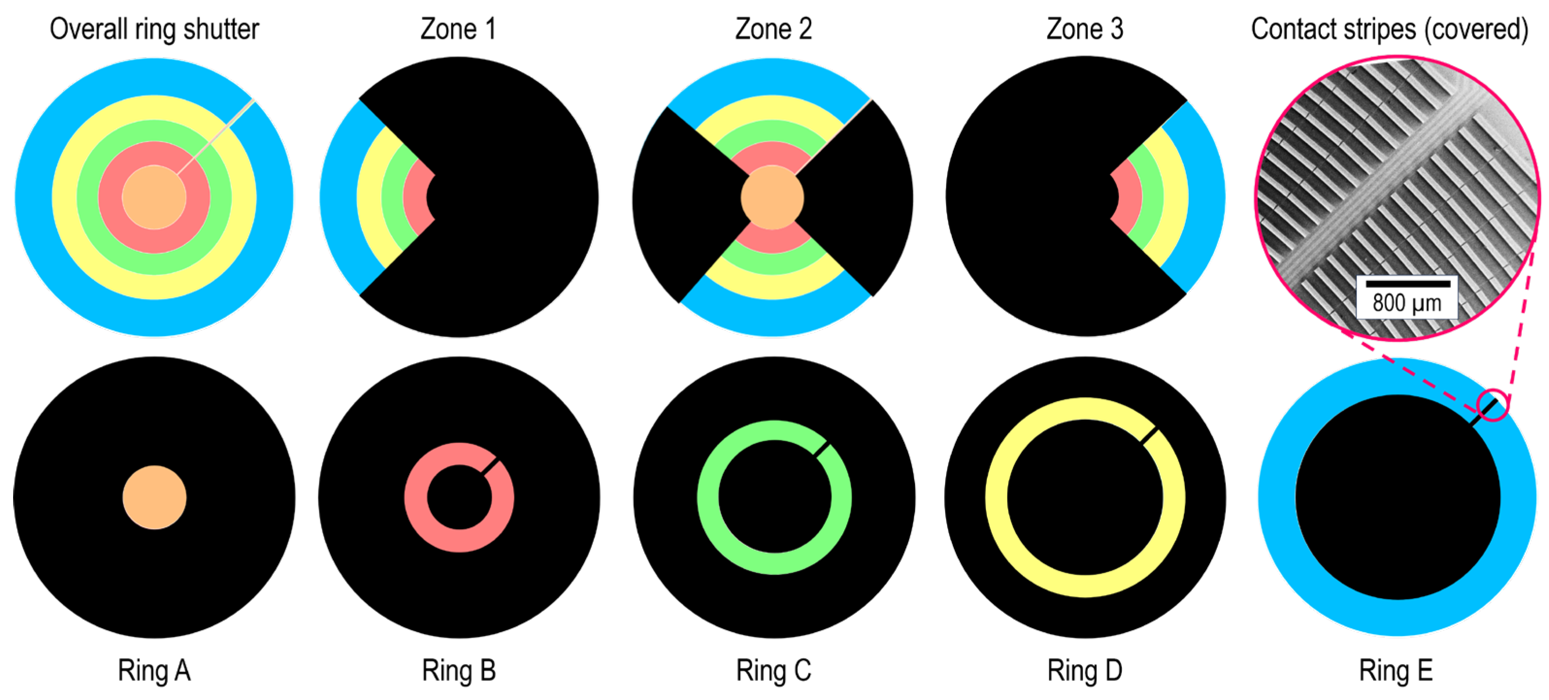 Preprints 141720 g004