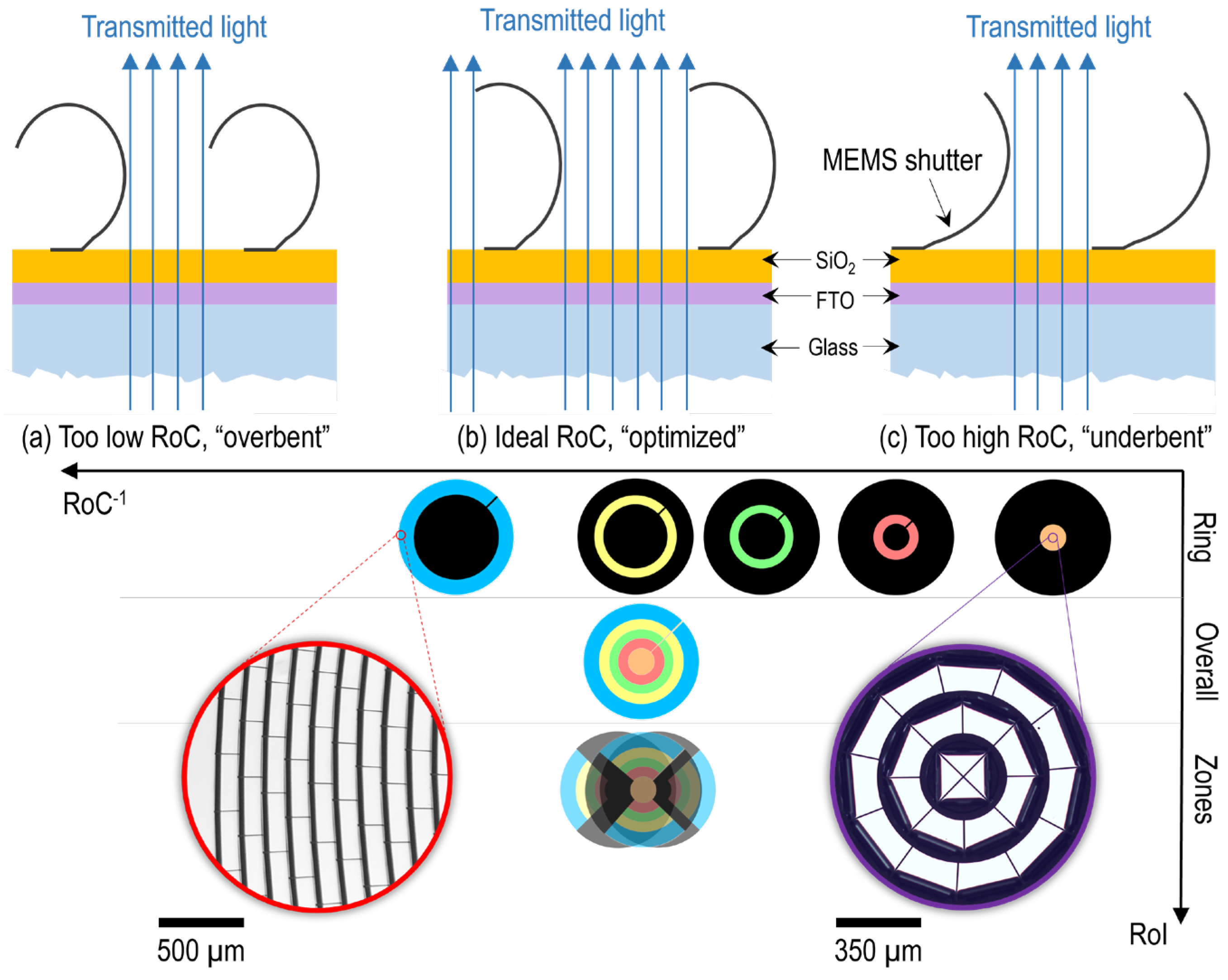 Preprints 141720 g005