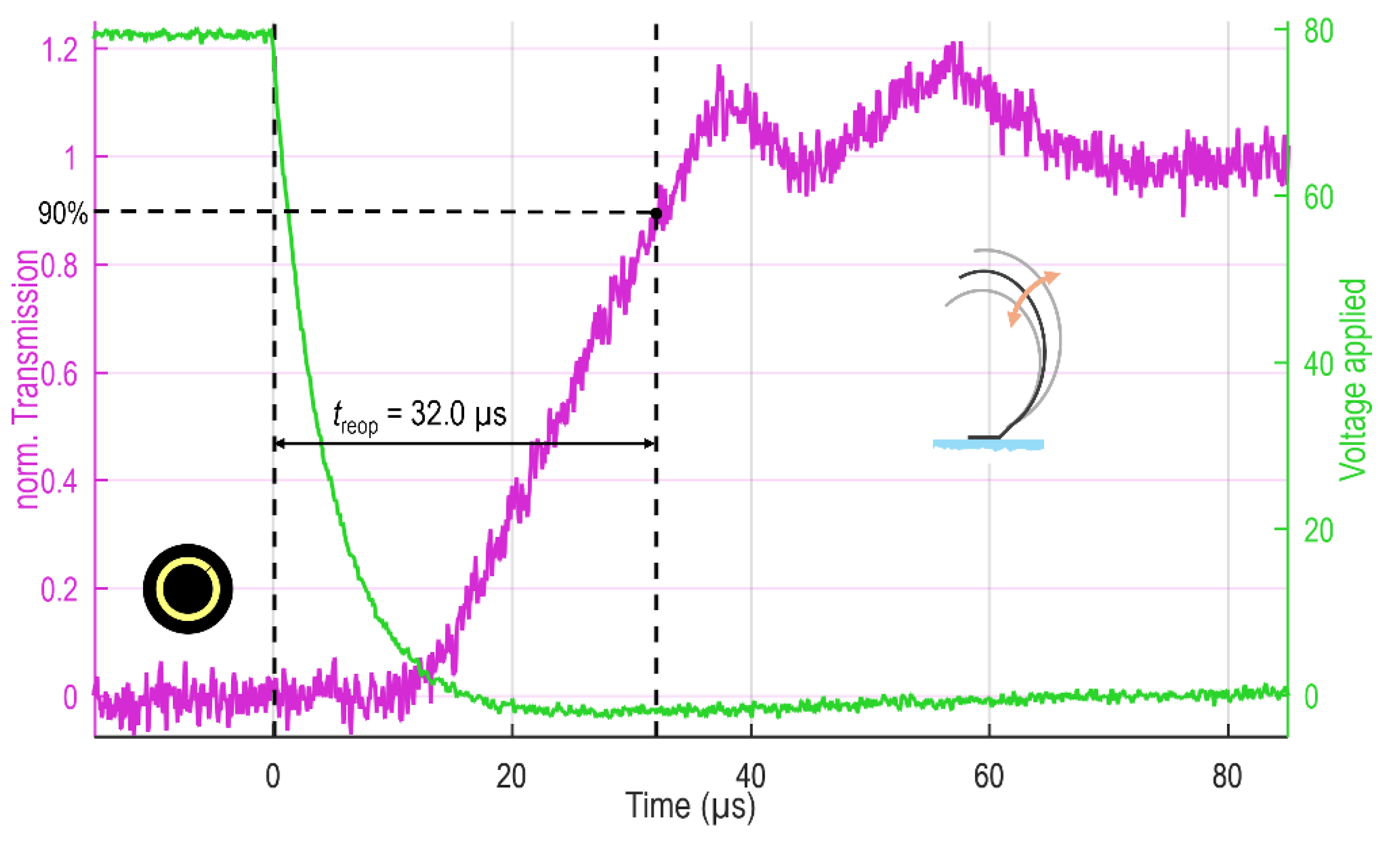 Preprints 141720 g008