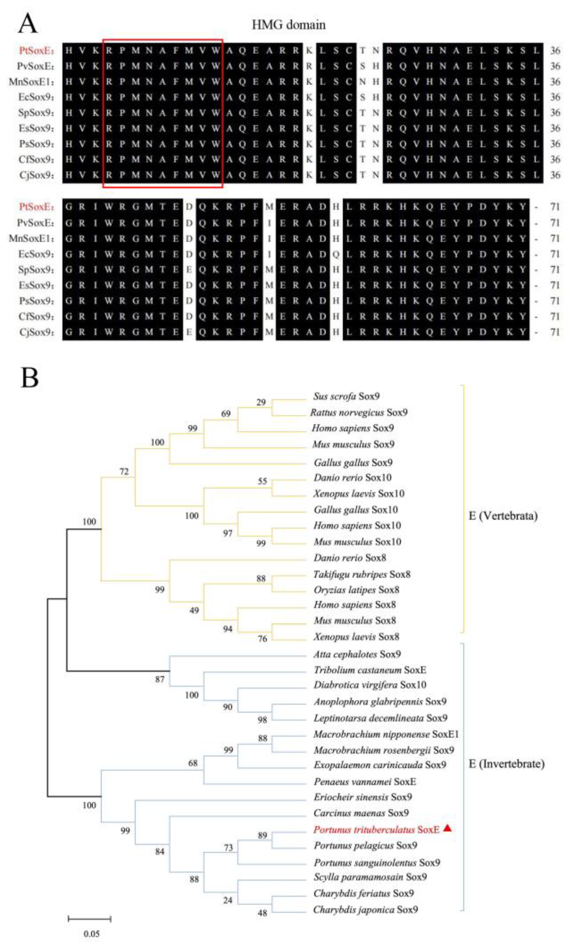 Preprints 76467 g001