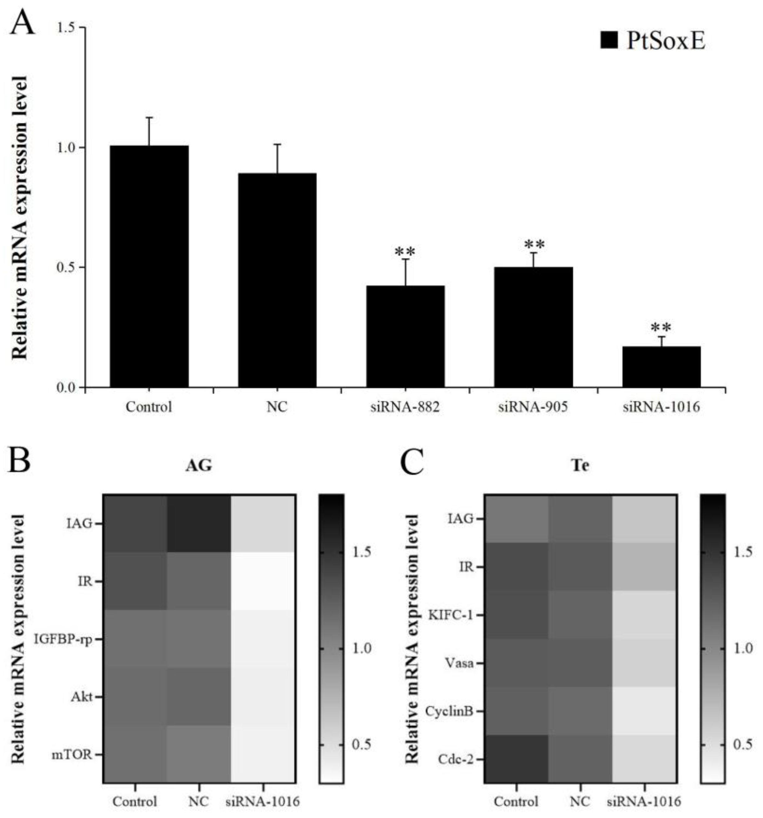 Preprints 76467 g004