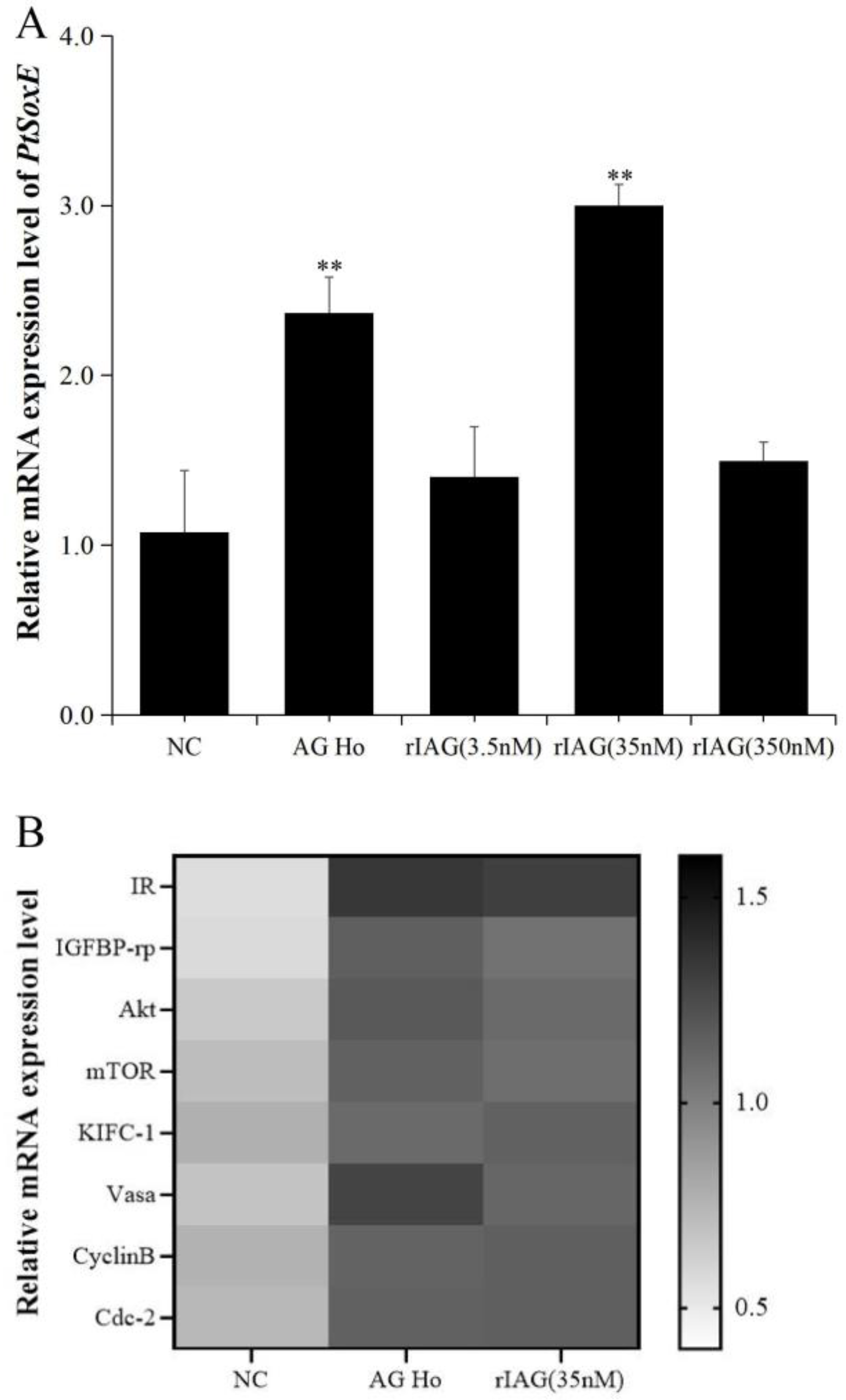 Preprints 76467 g005