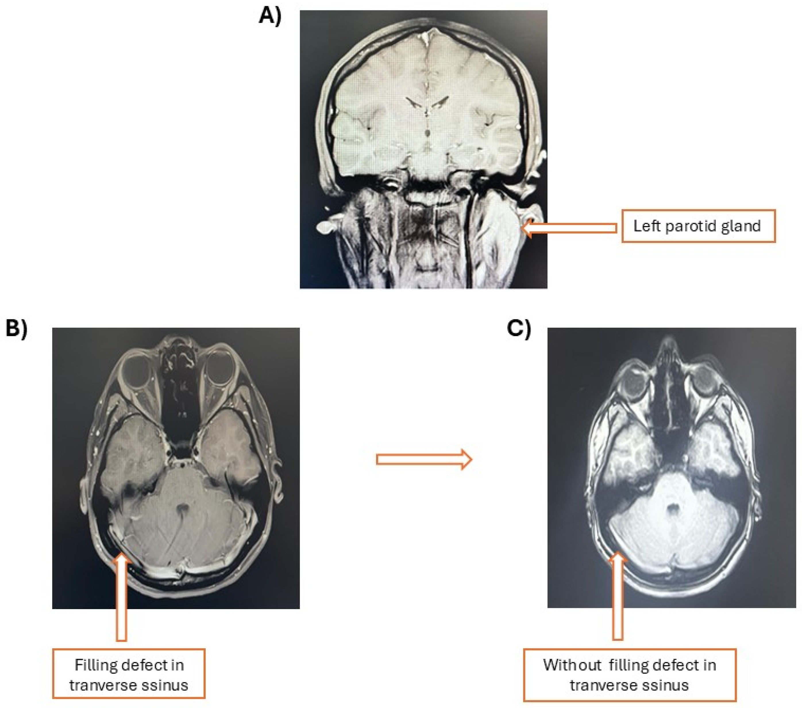 Preprints 158556 g001