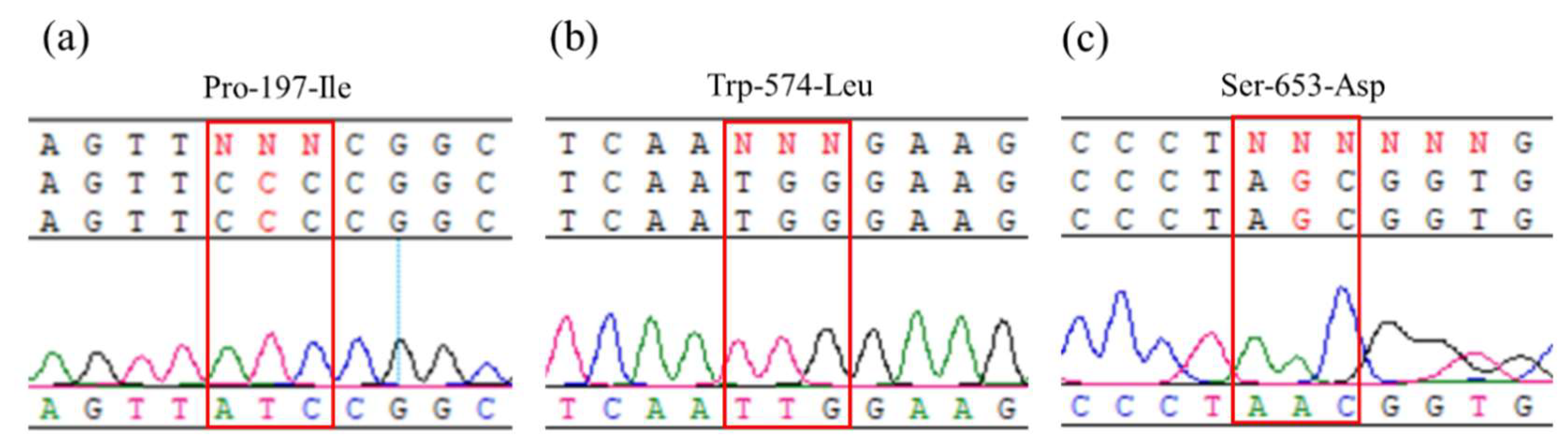 Preprints 146359 g002