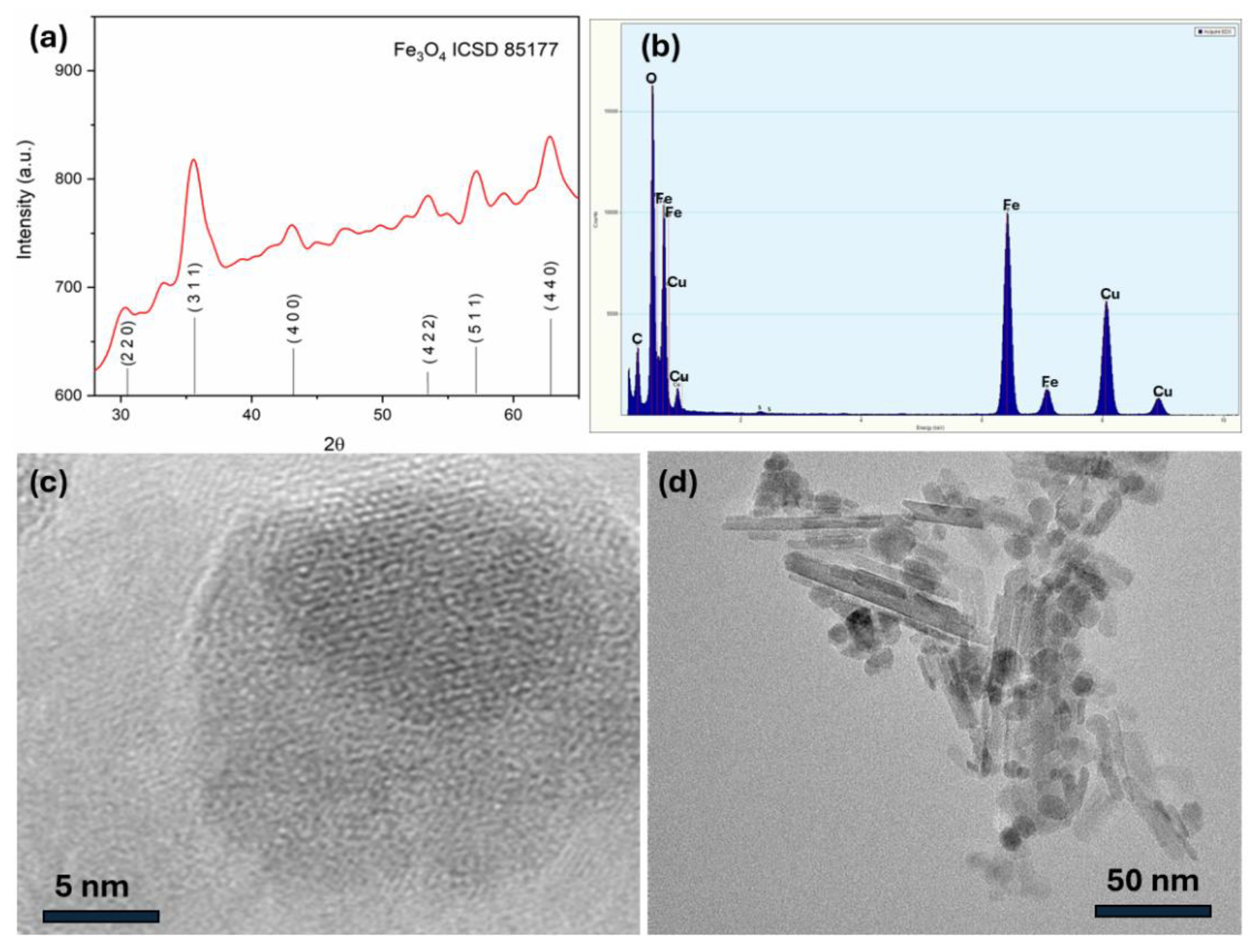 Preprints 188004 g001