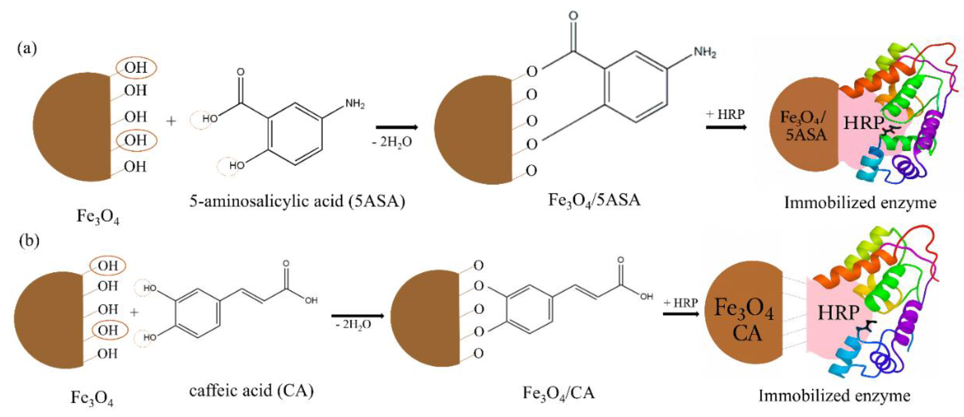 Preprints 188004 sch002