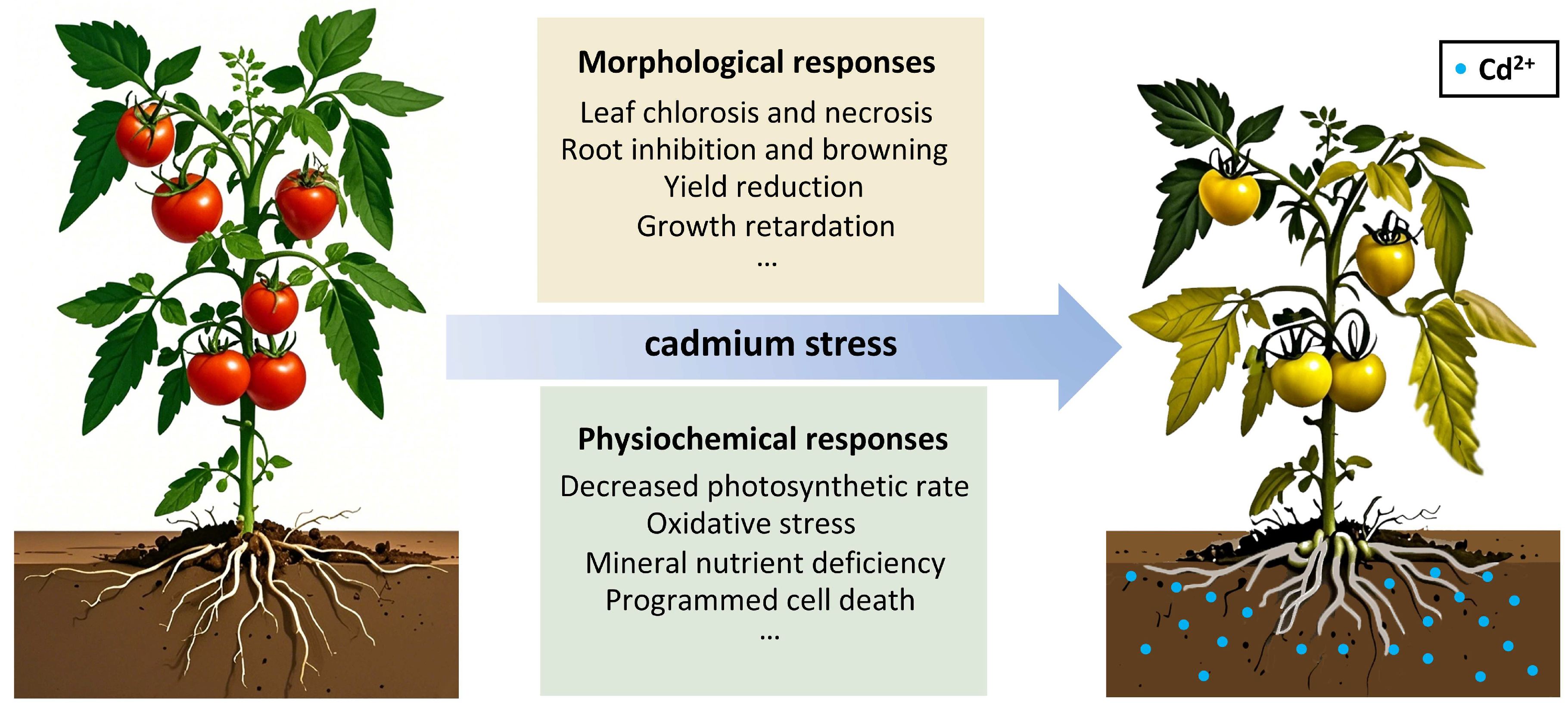 Preprints 160067 g001
