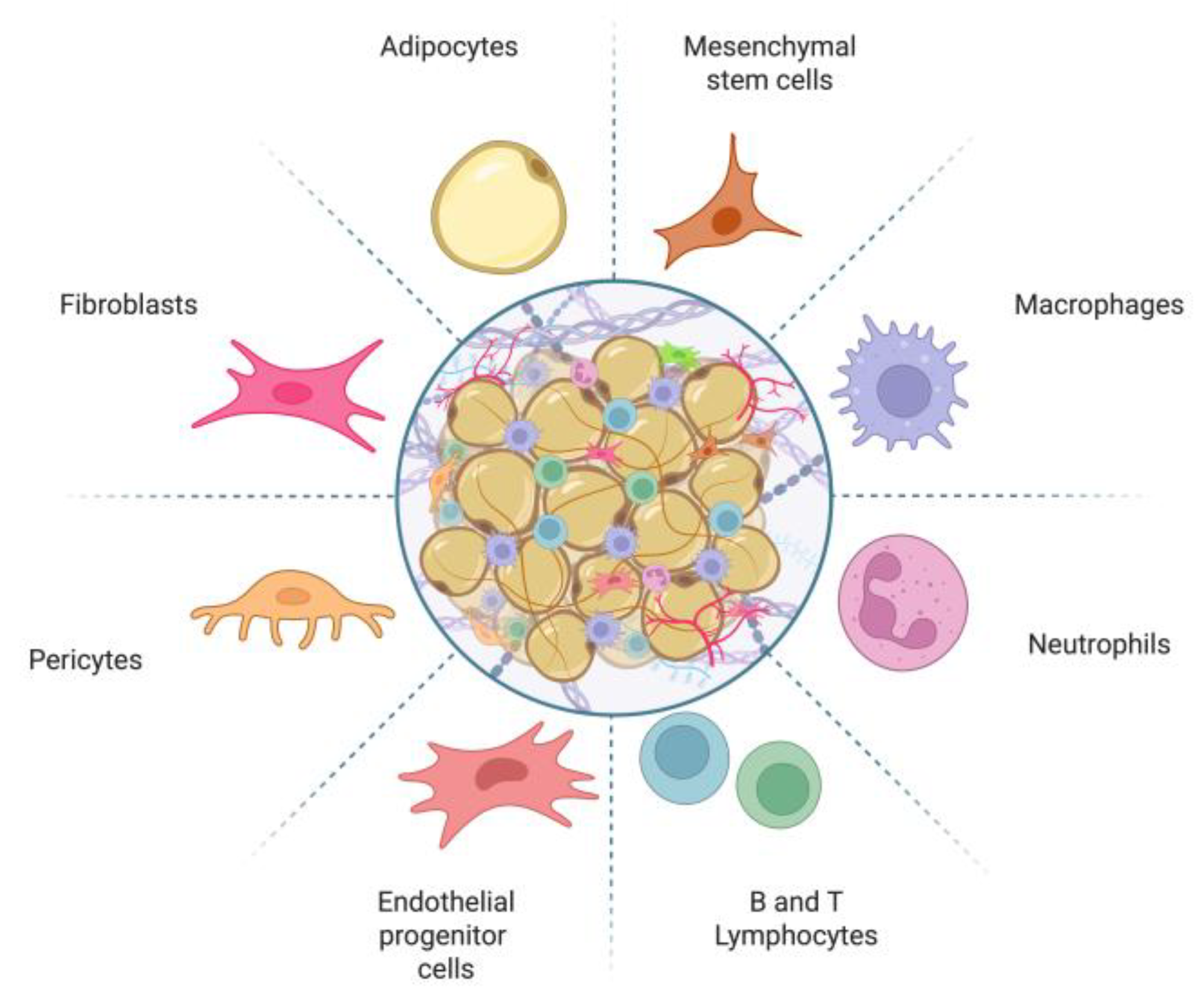 Preprints 179476 g001