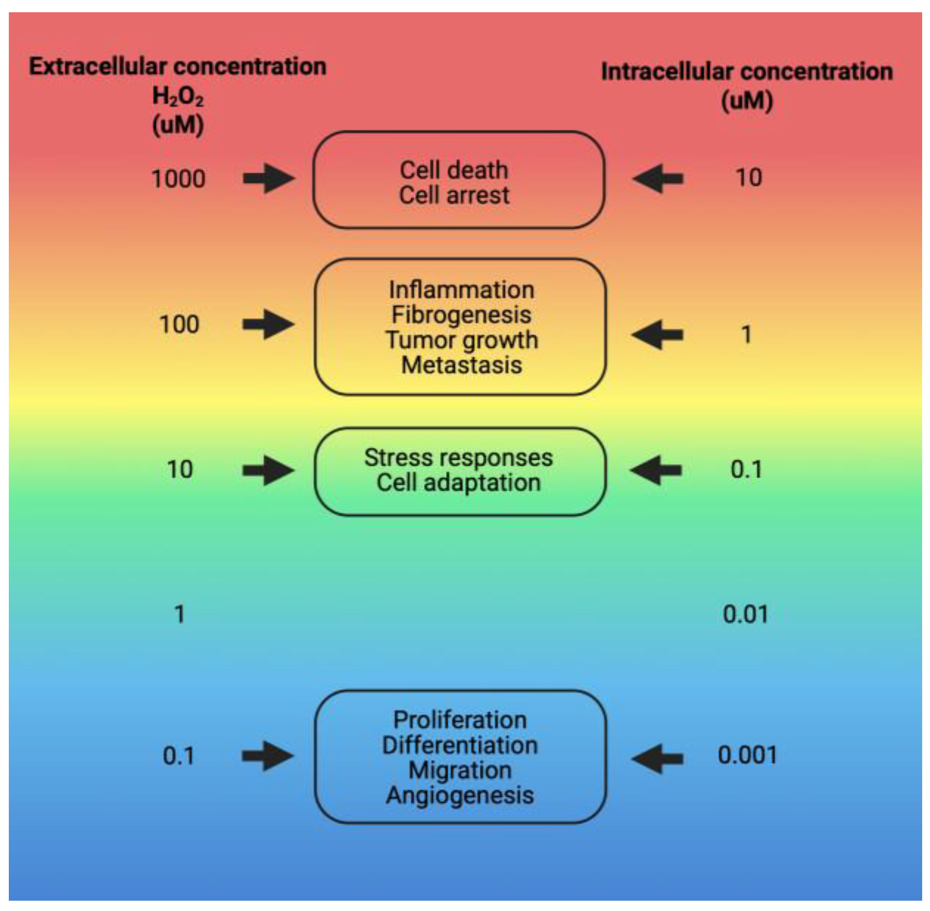 Preprints 179476 g003