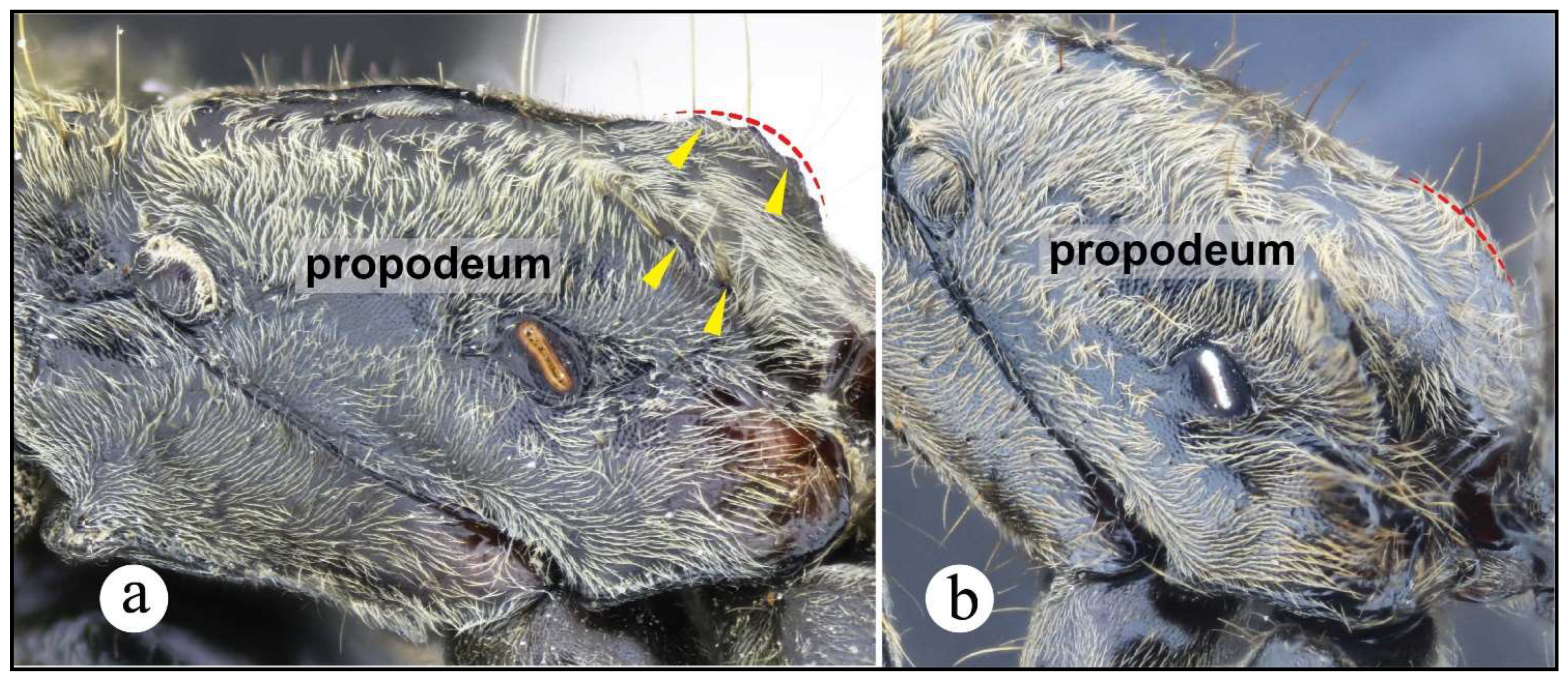 Preprints 144083 g011