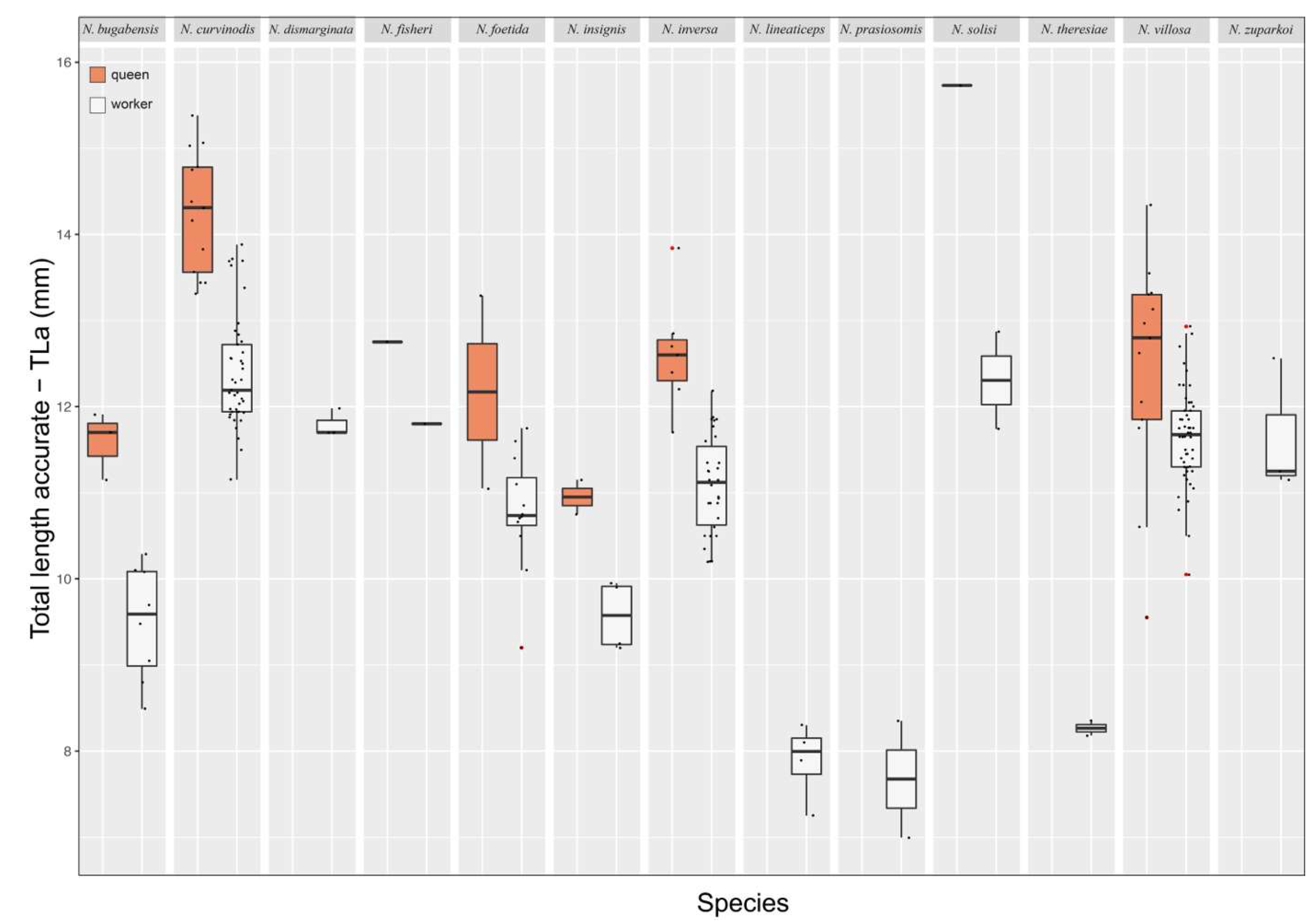 Preprints 144083 g012