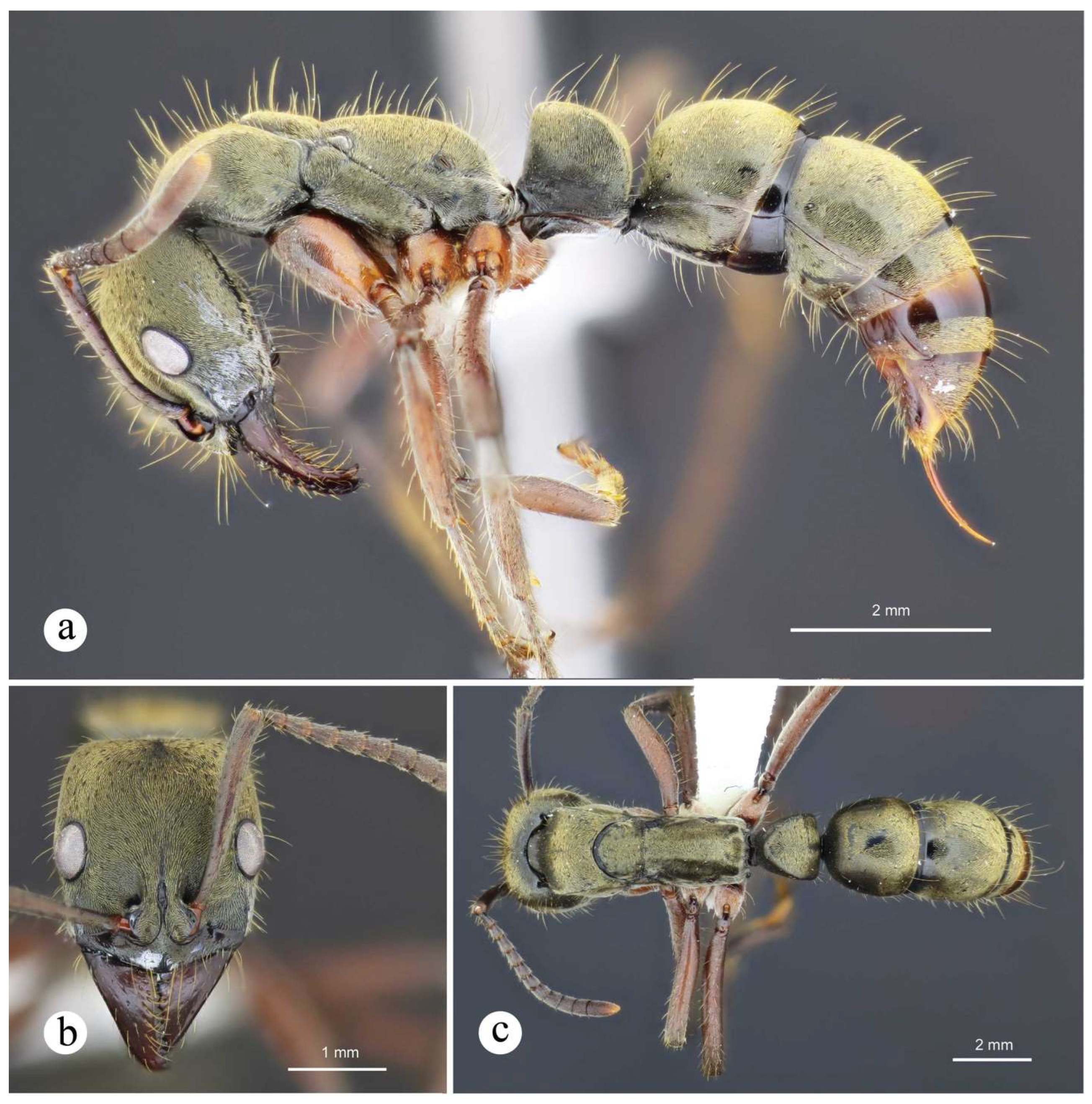 Preprints 144083 g013