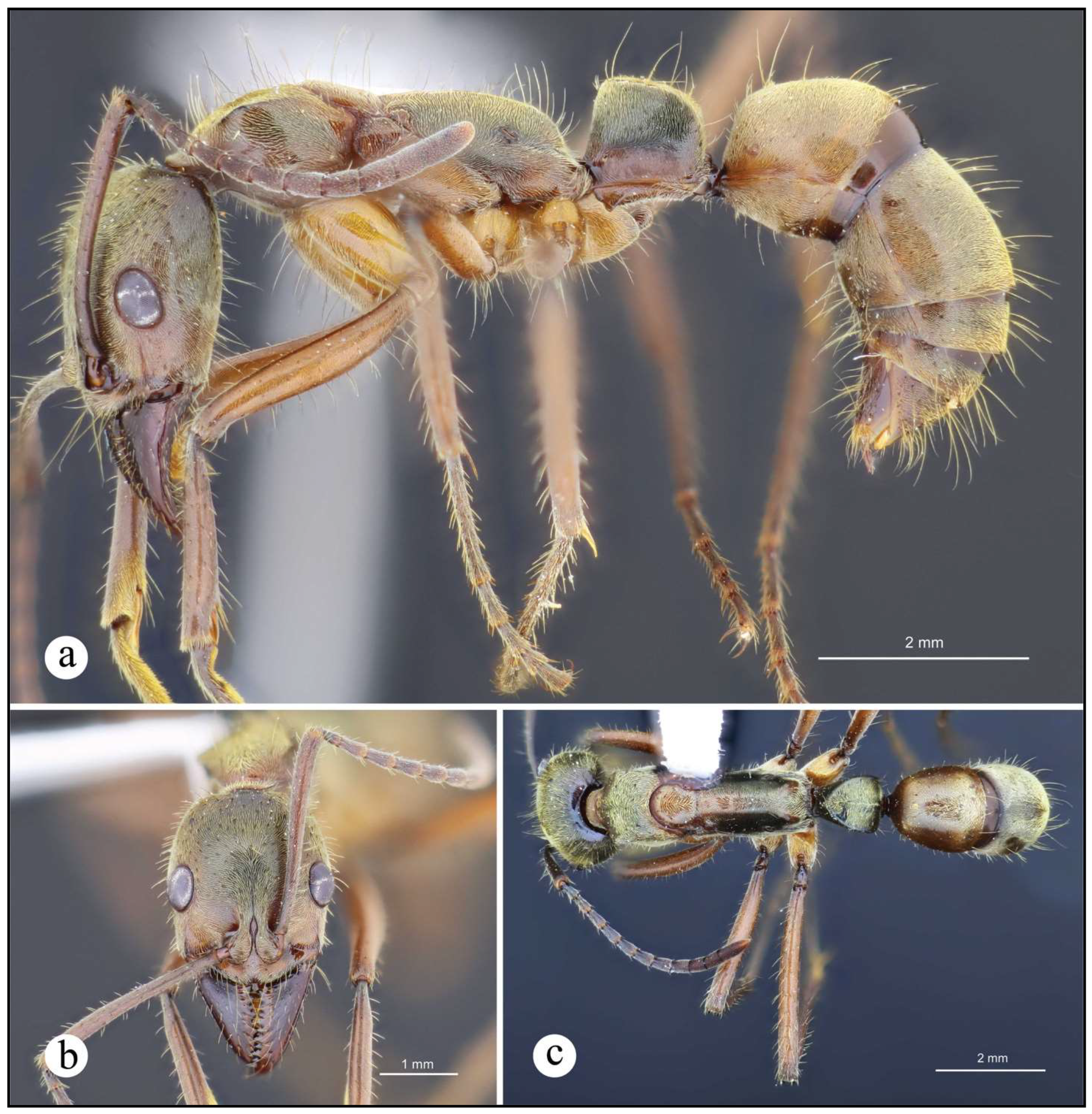 Preprints 144083 g015