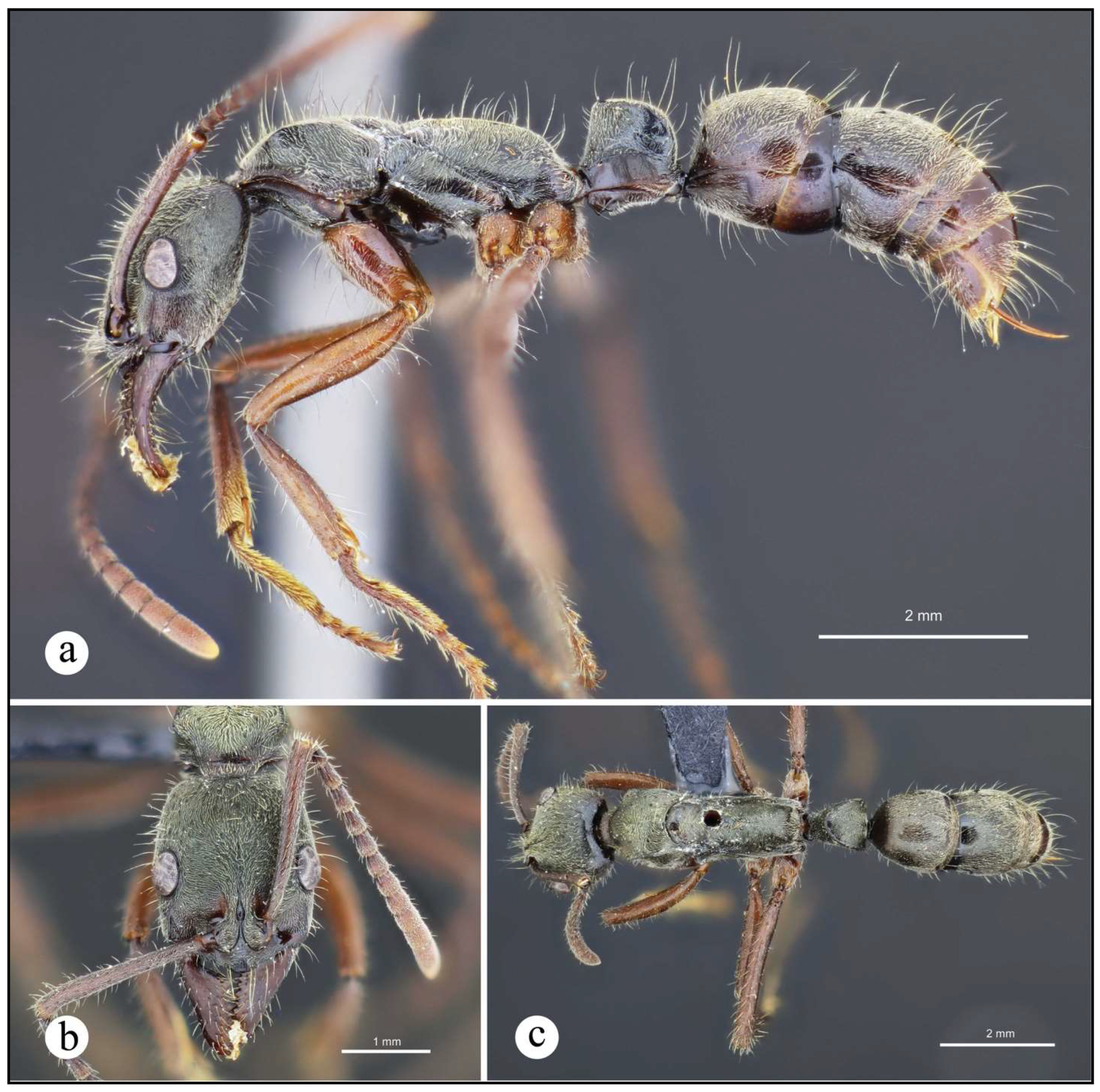 Preprints 144083 g016