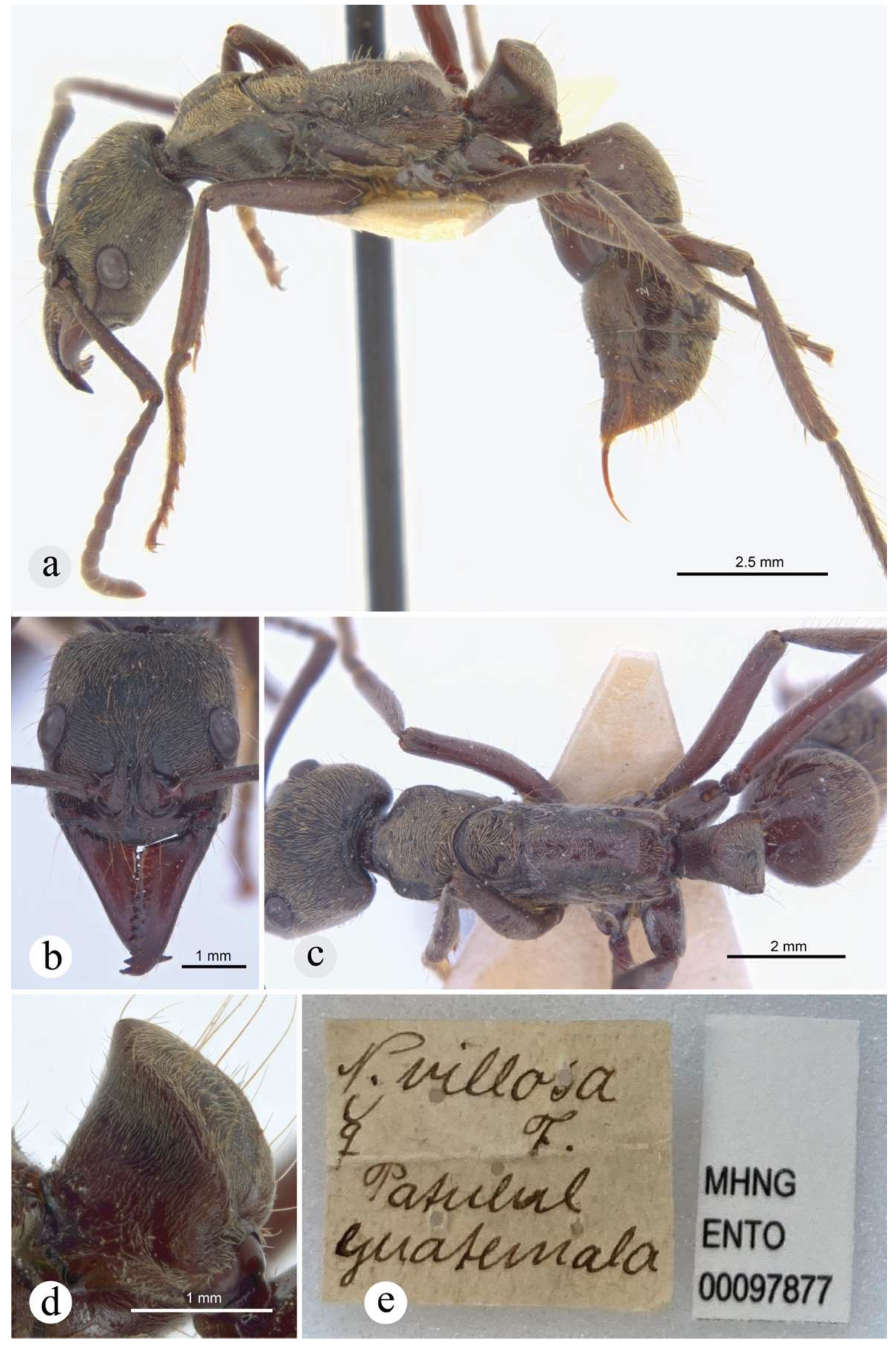 Preprints 144083 g018