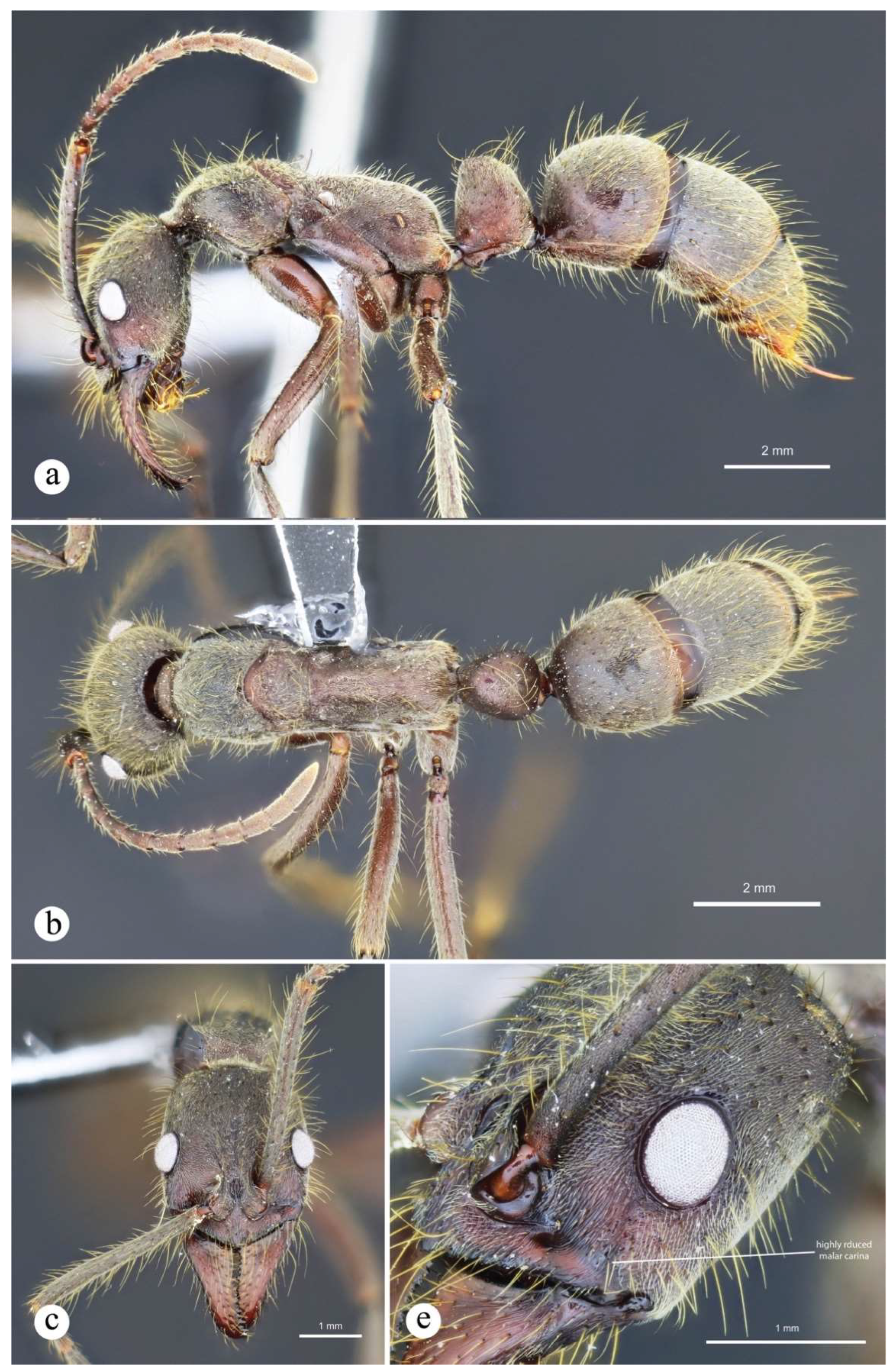 Preprints 144083 g020