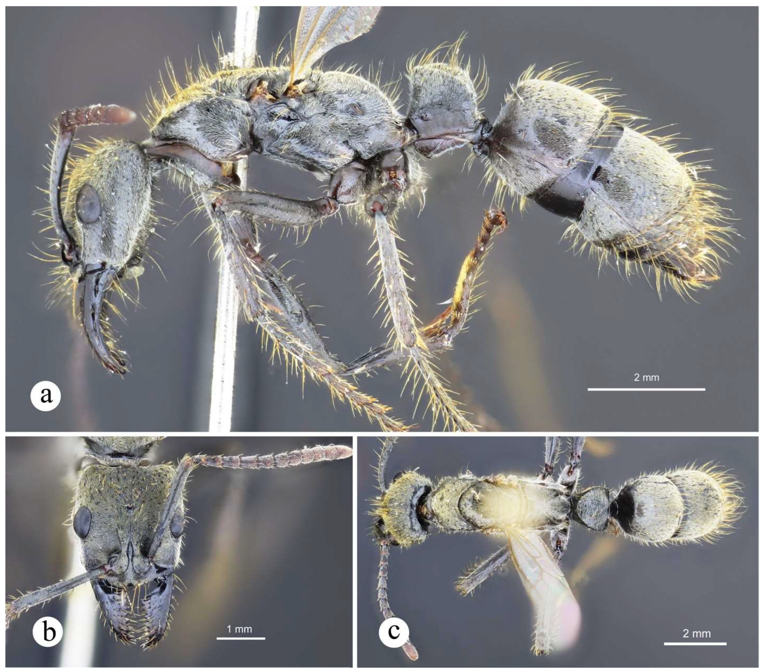 Preprints 144083 g022