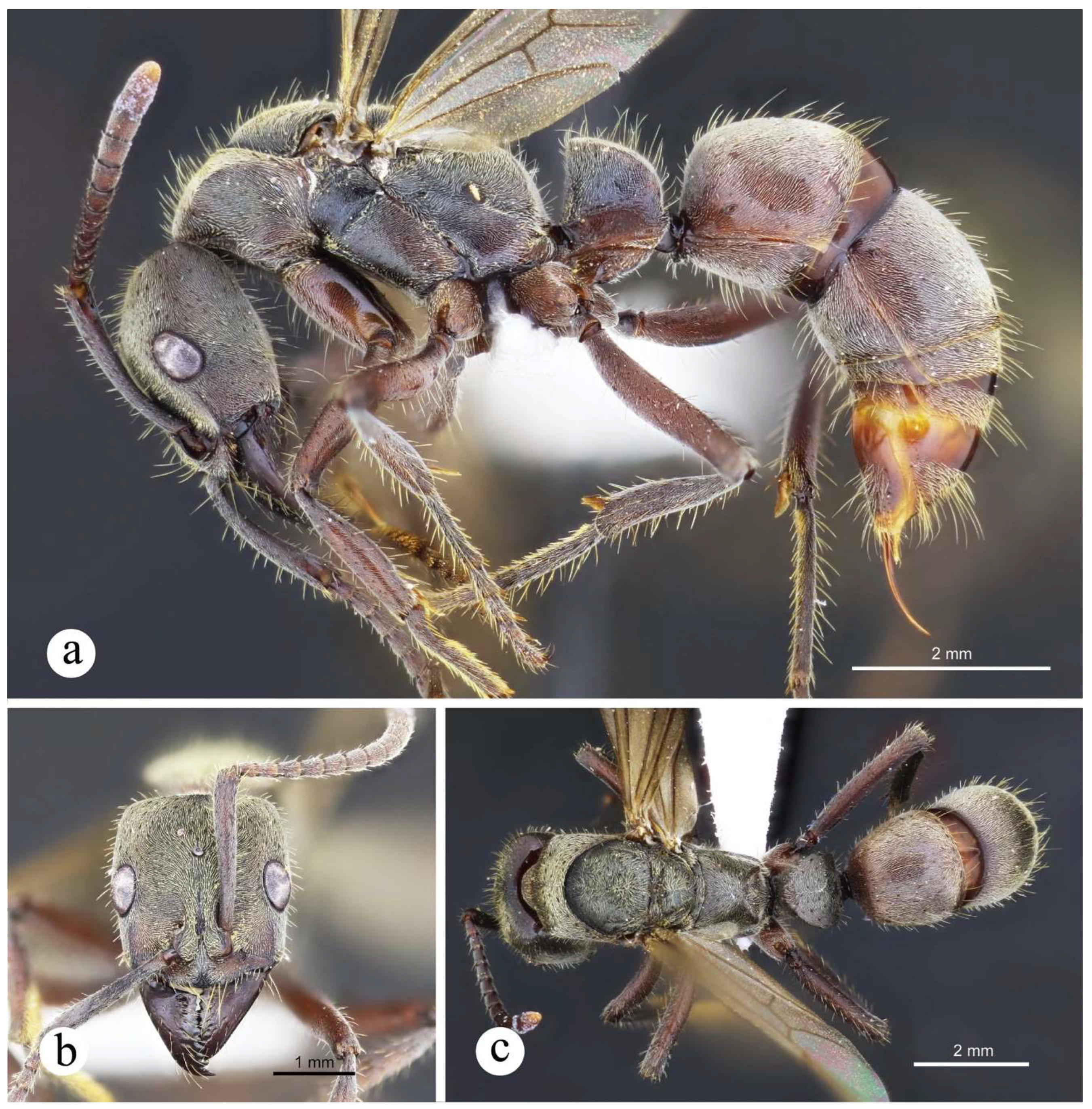 Preprints 144083 g024