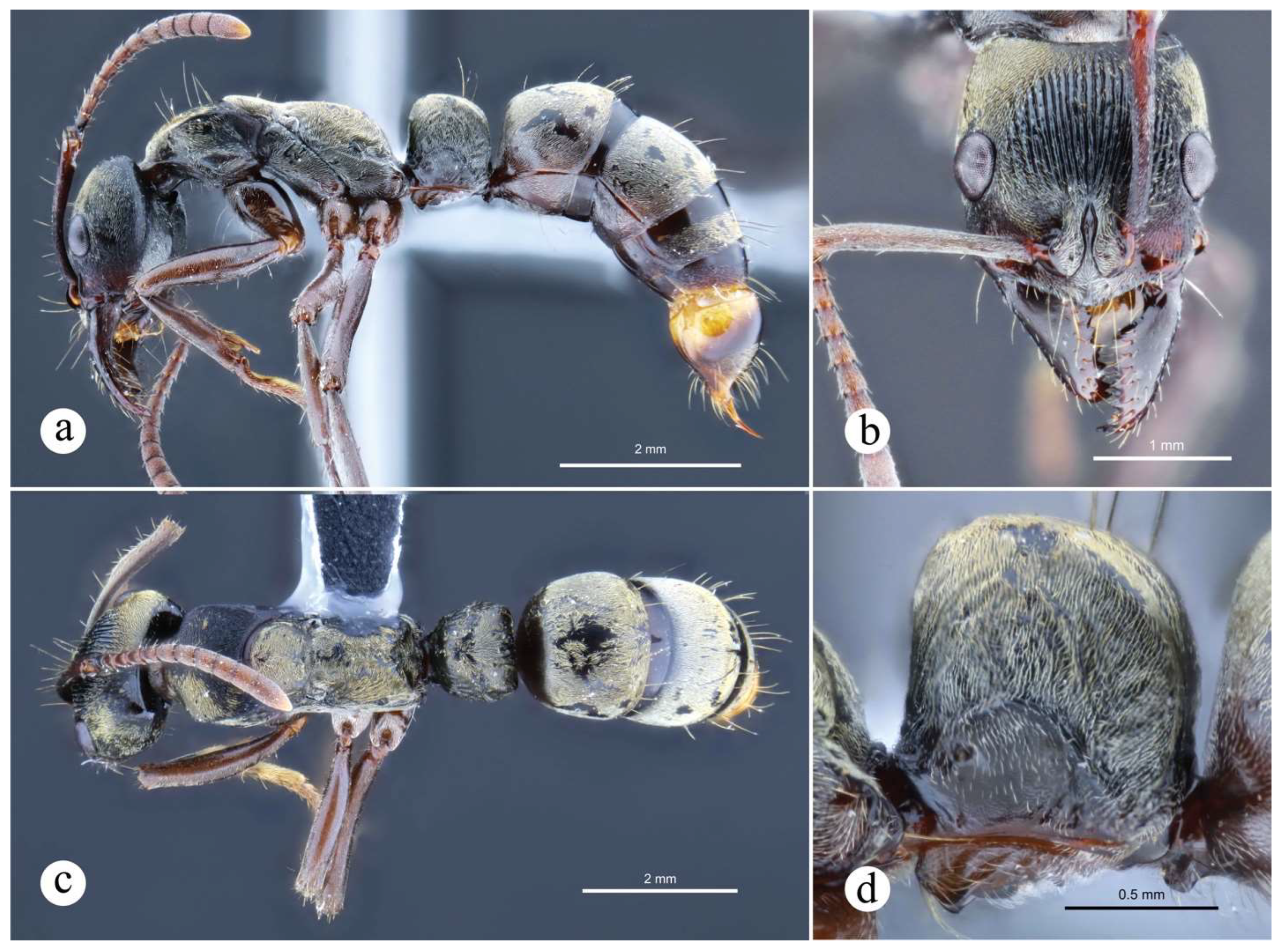 Preprints 144083 g027