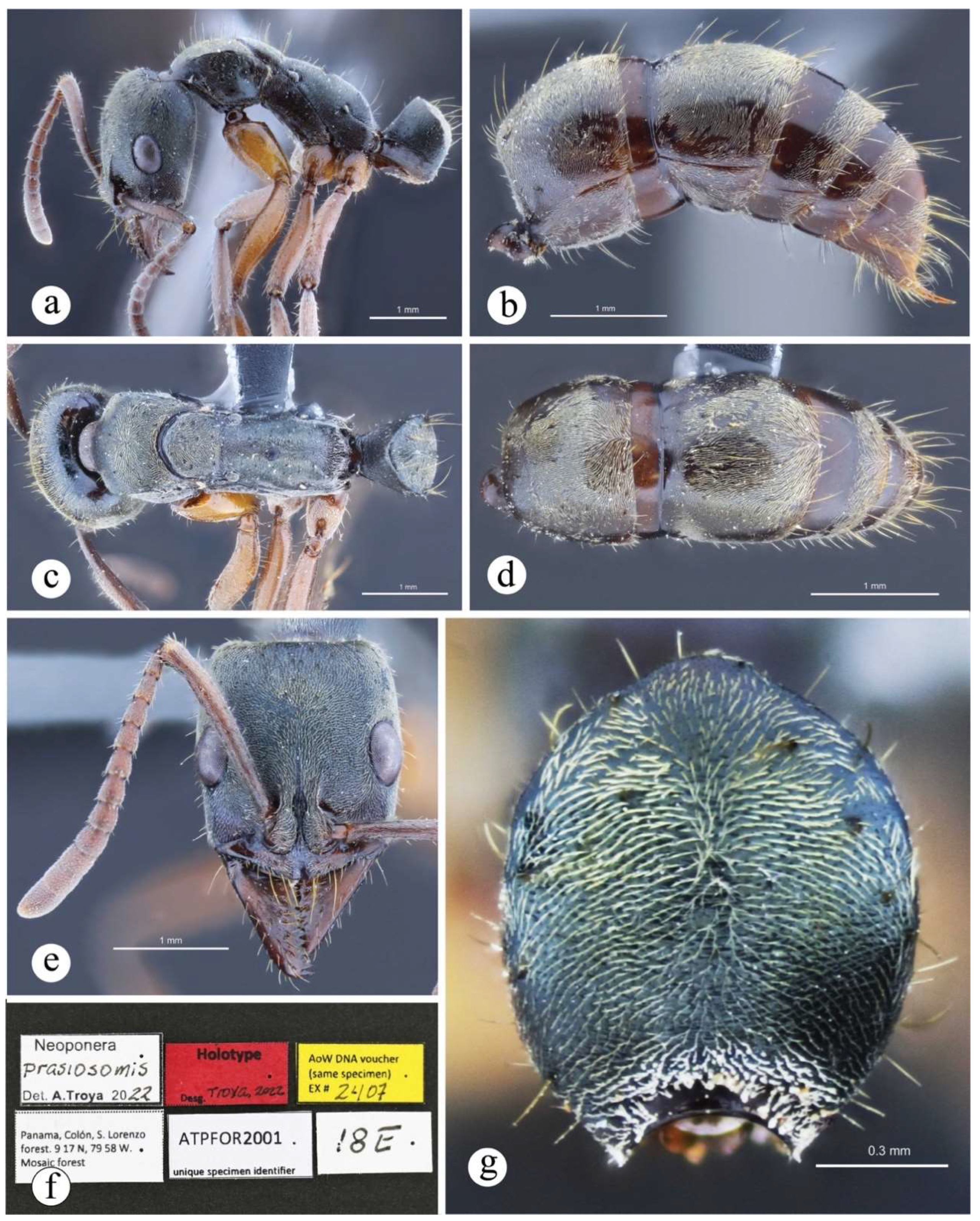 Preprints 144083 g028