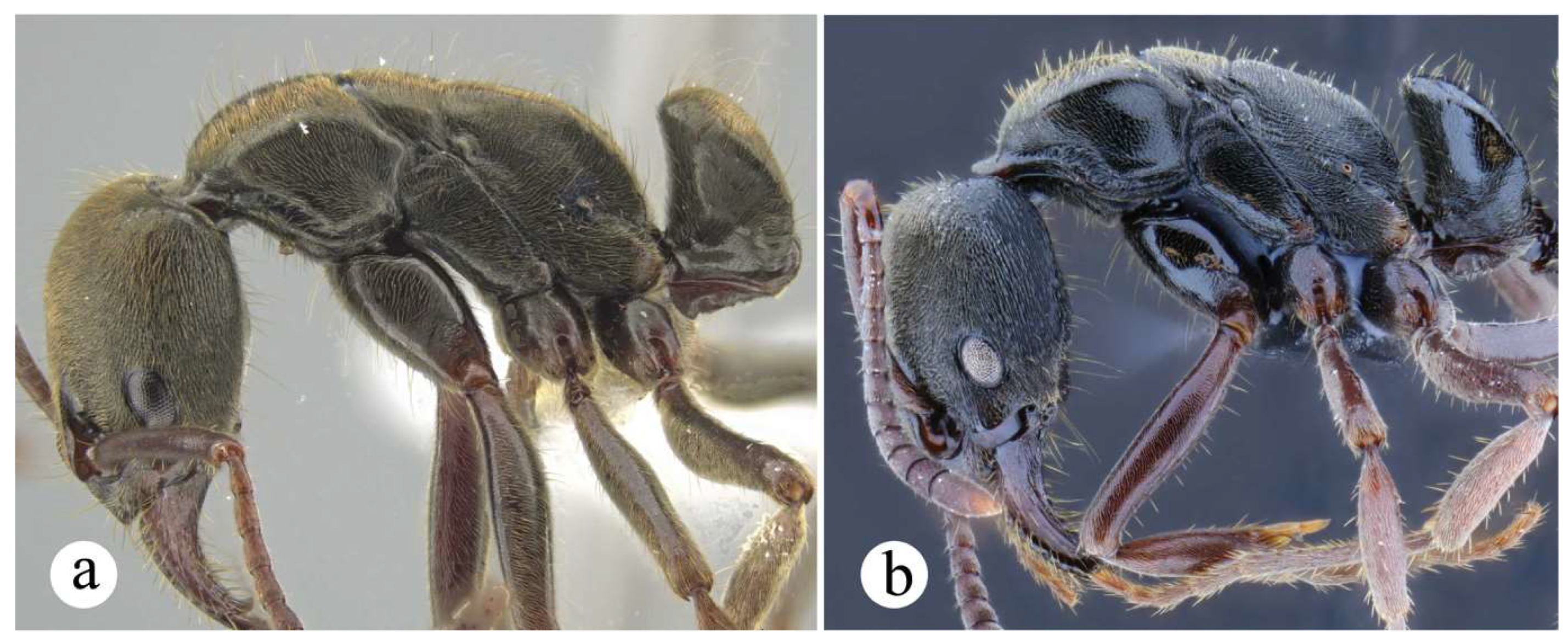 Preprints 144083 g033