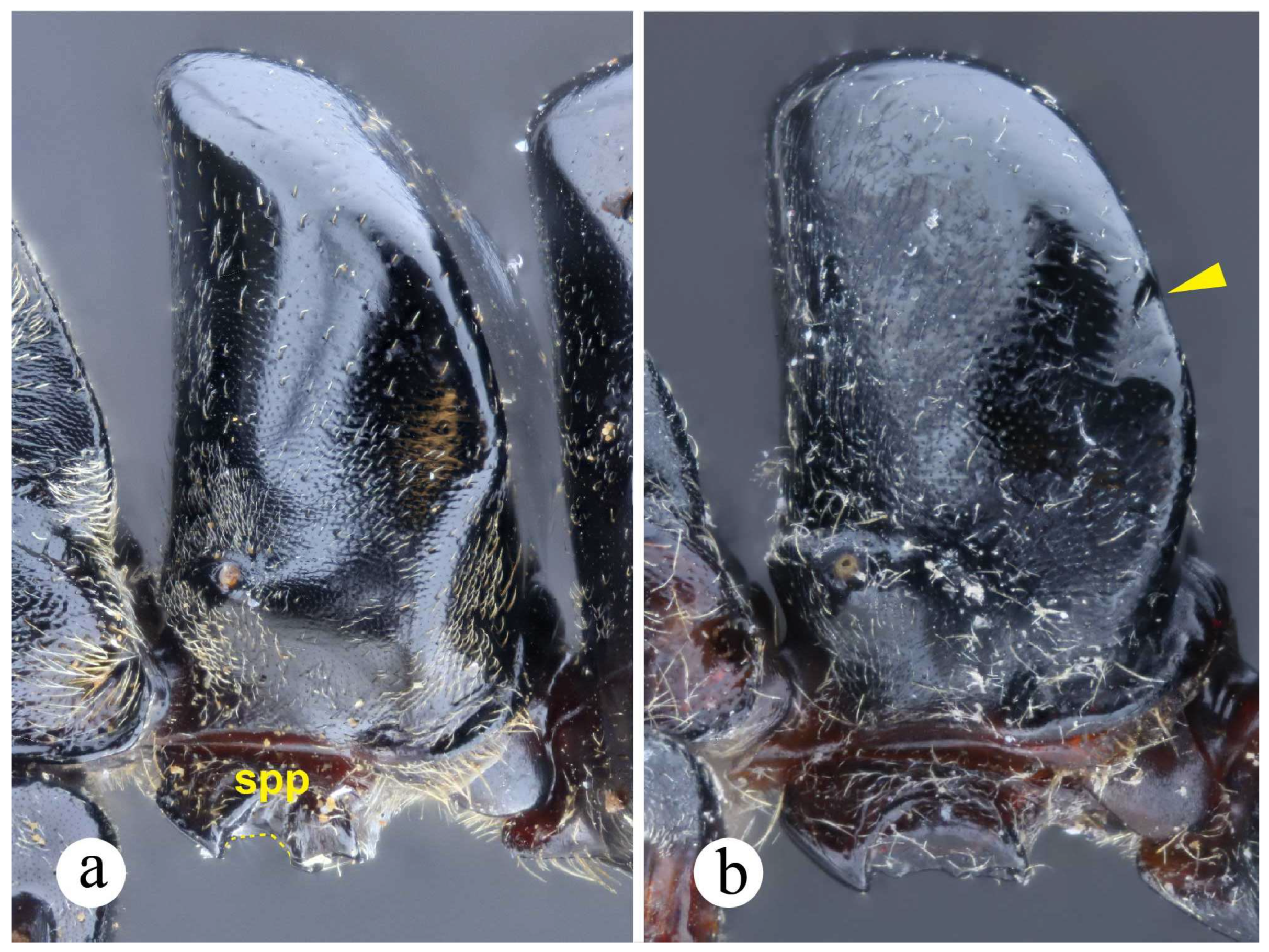 Preprints 144083 g034