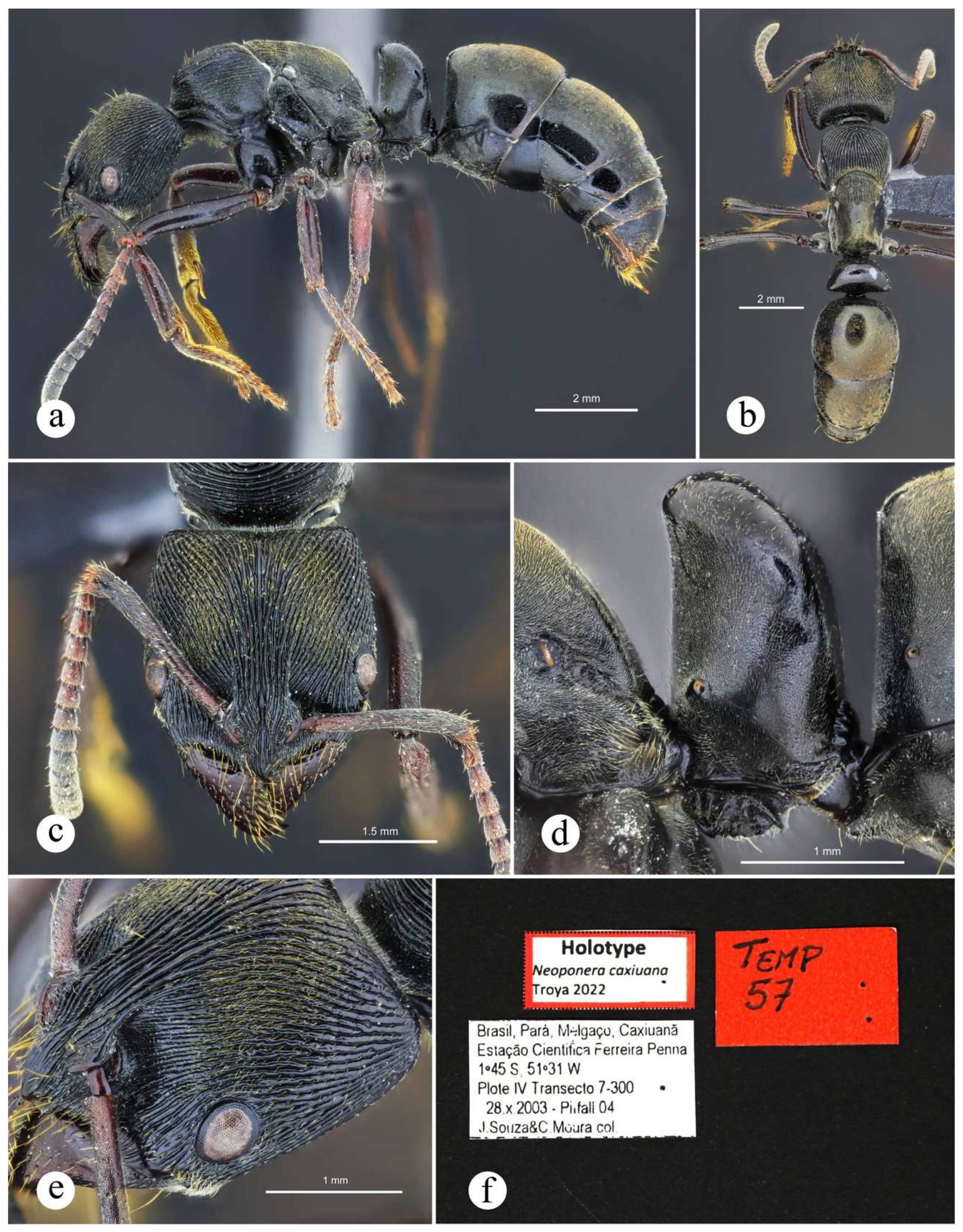 Preprints 144083 g039