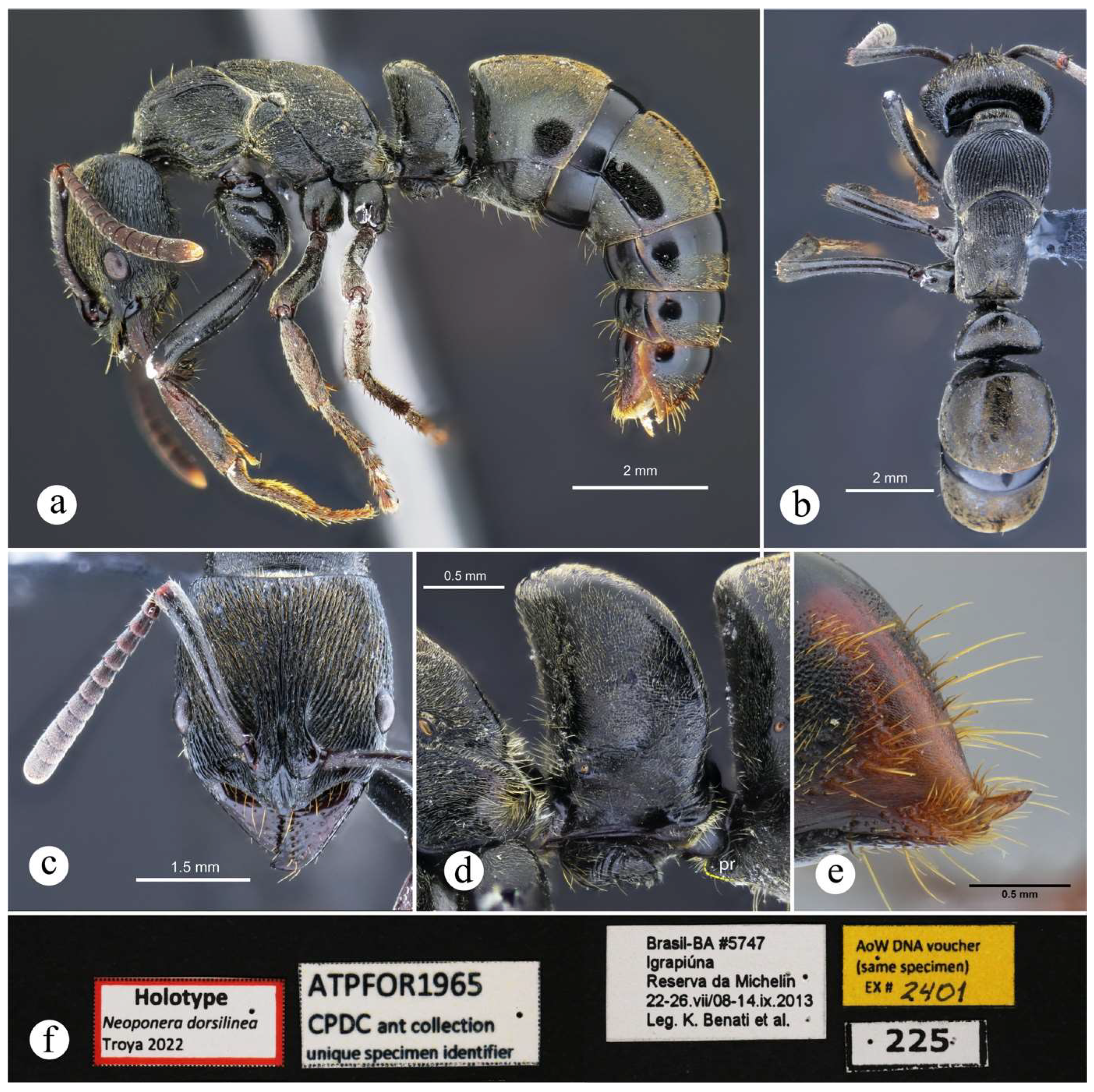 Preprints 144083 g040