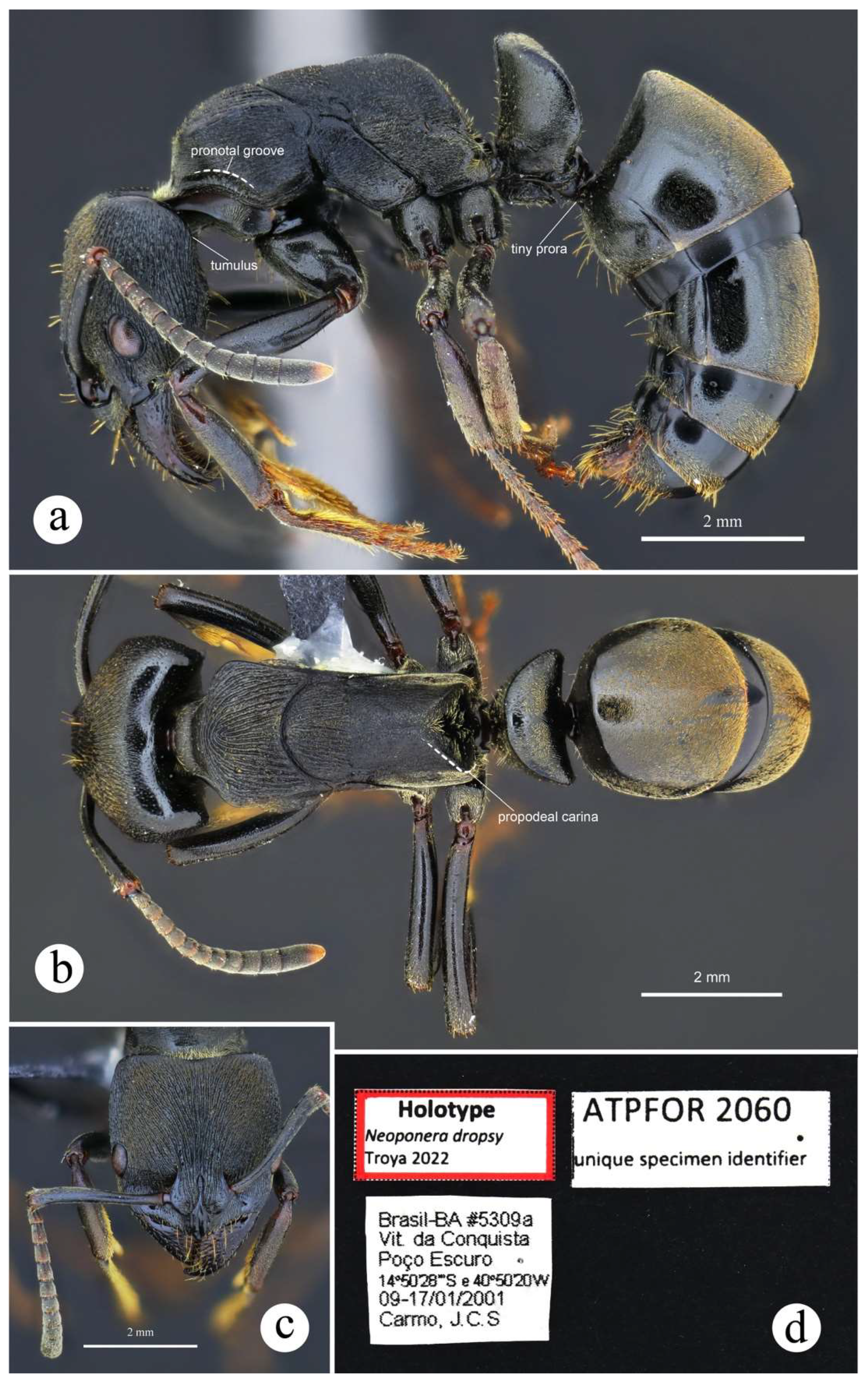 Preprints 144083 g041