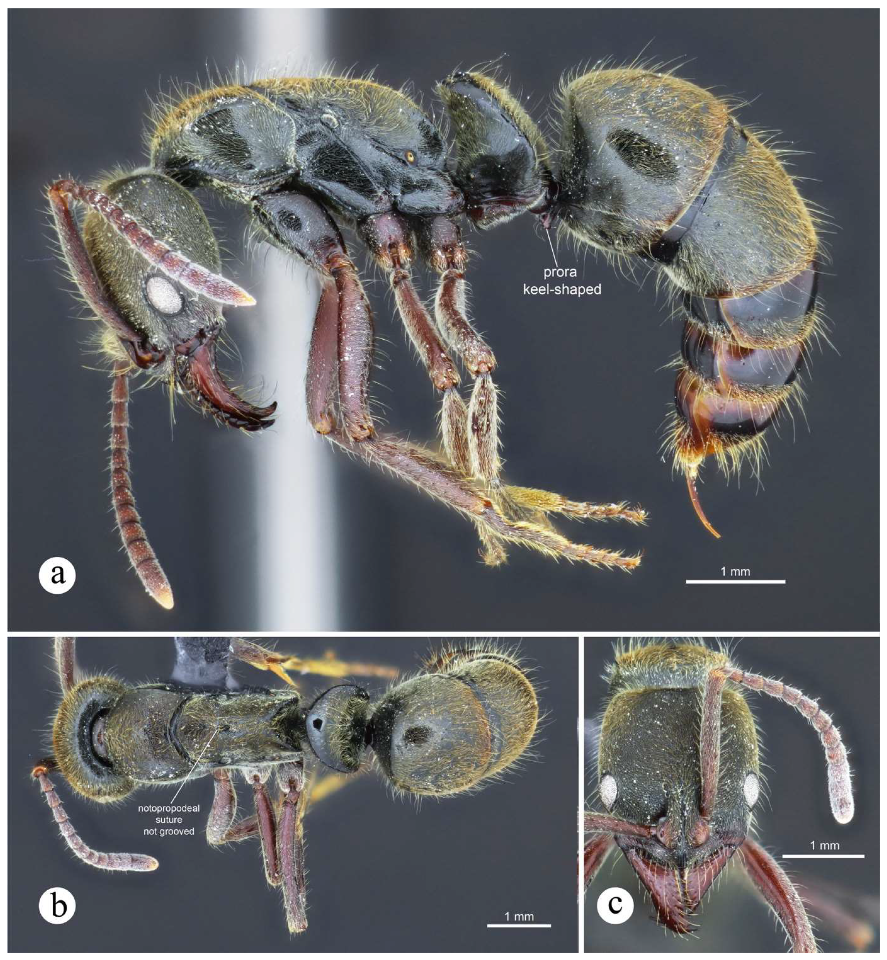 Preprints 144083 g042
