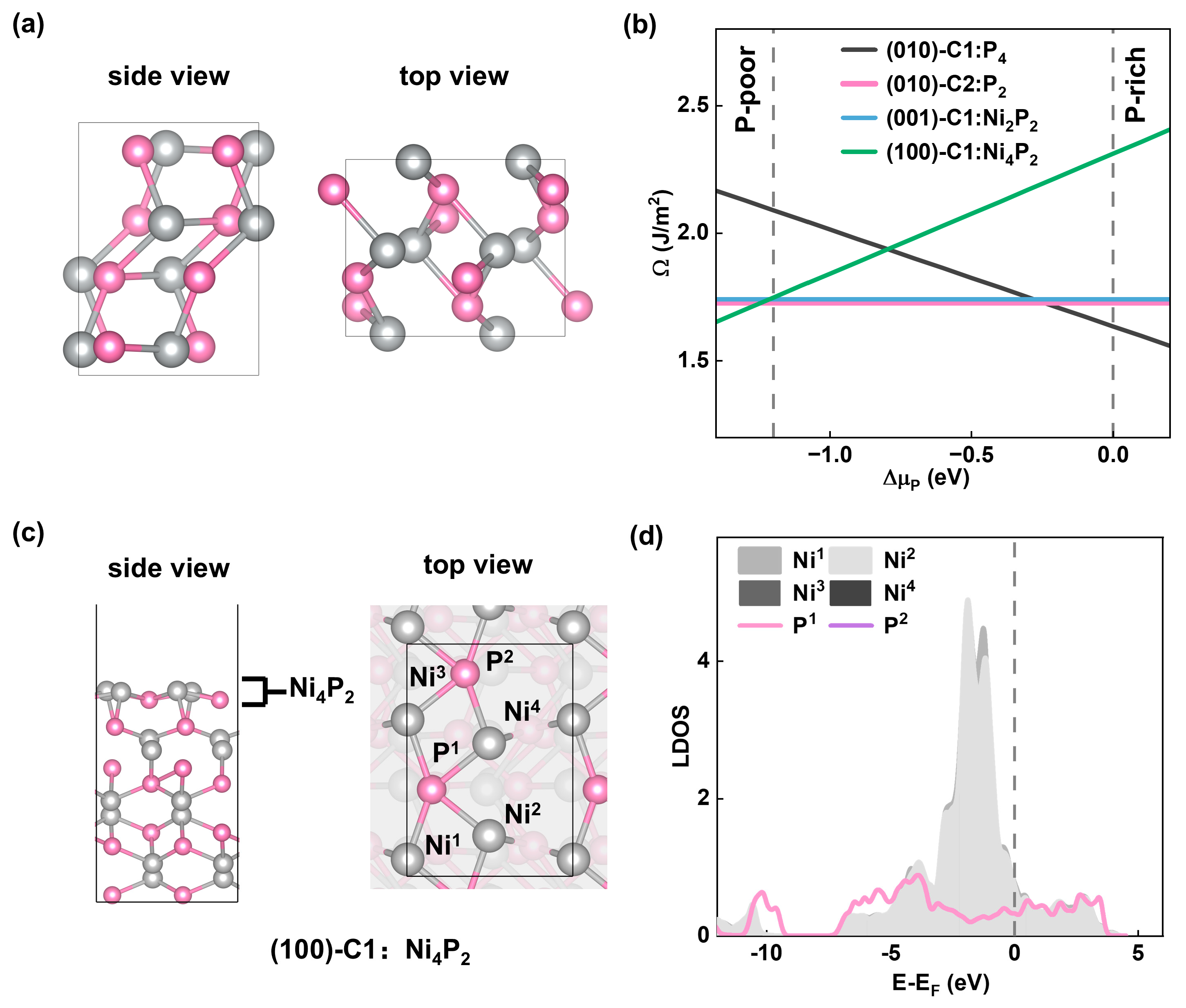 Preprints 154855 g001