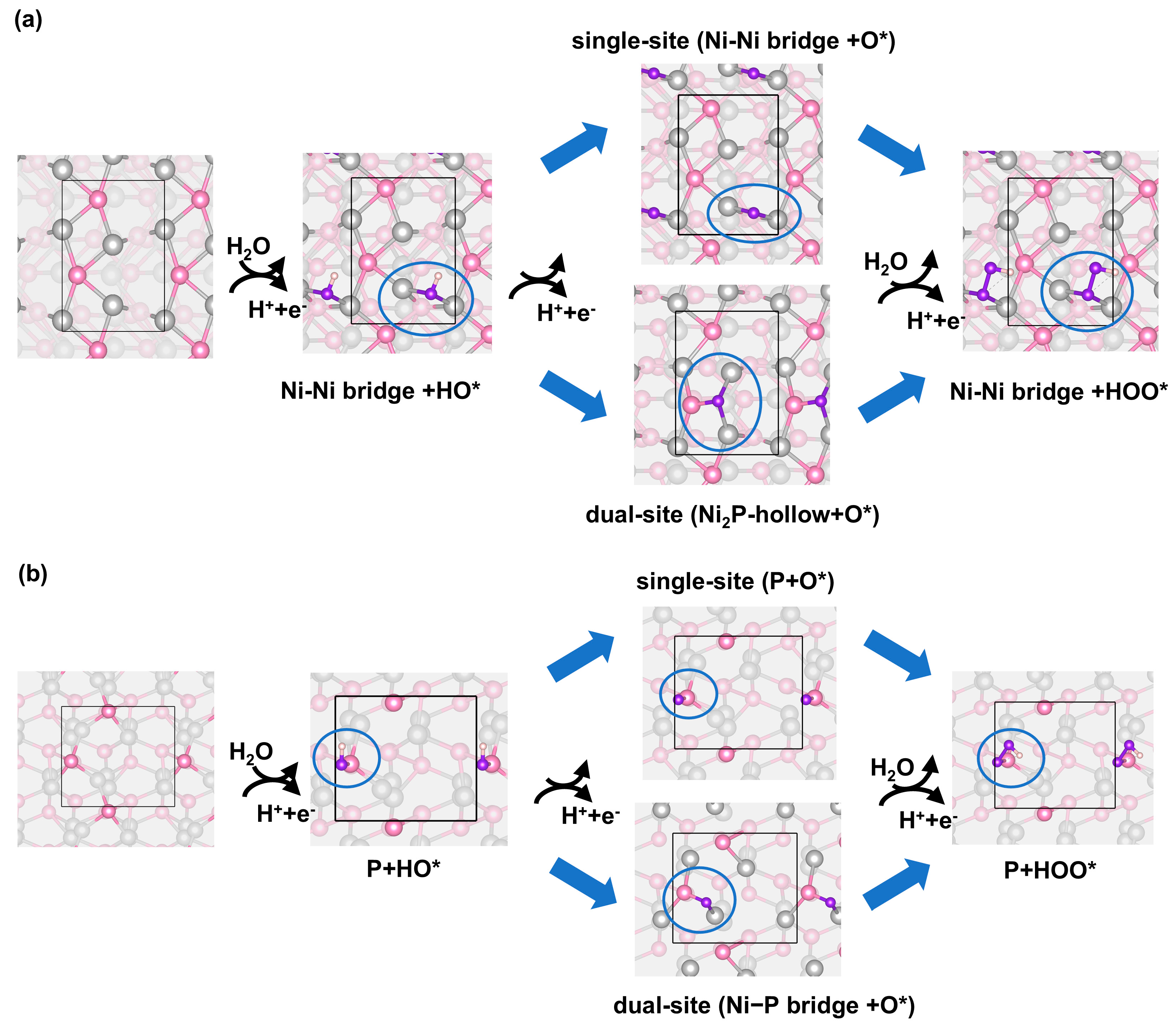 Preprints 154855 g002