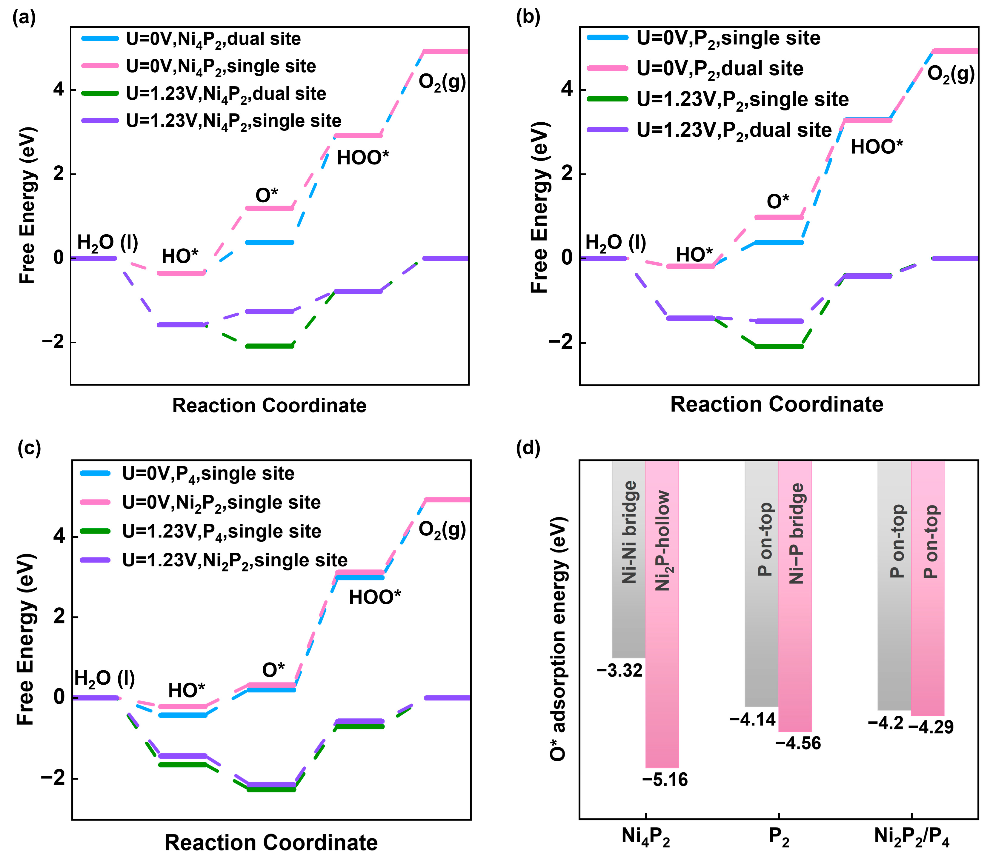 Preprints 154855 g003