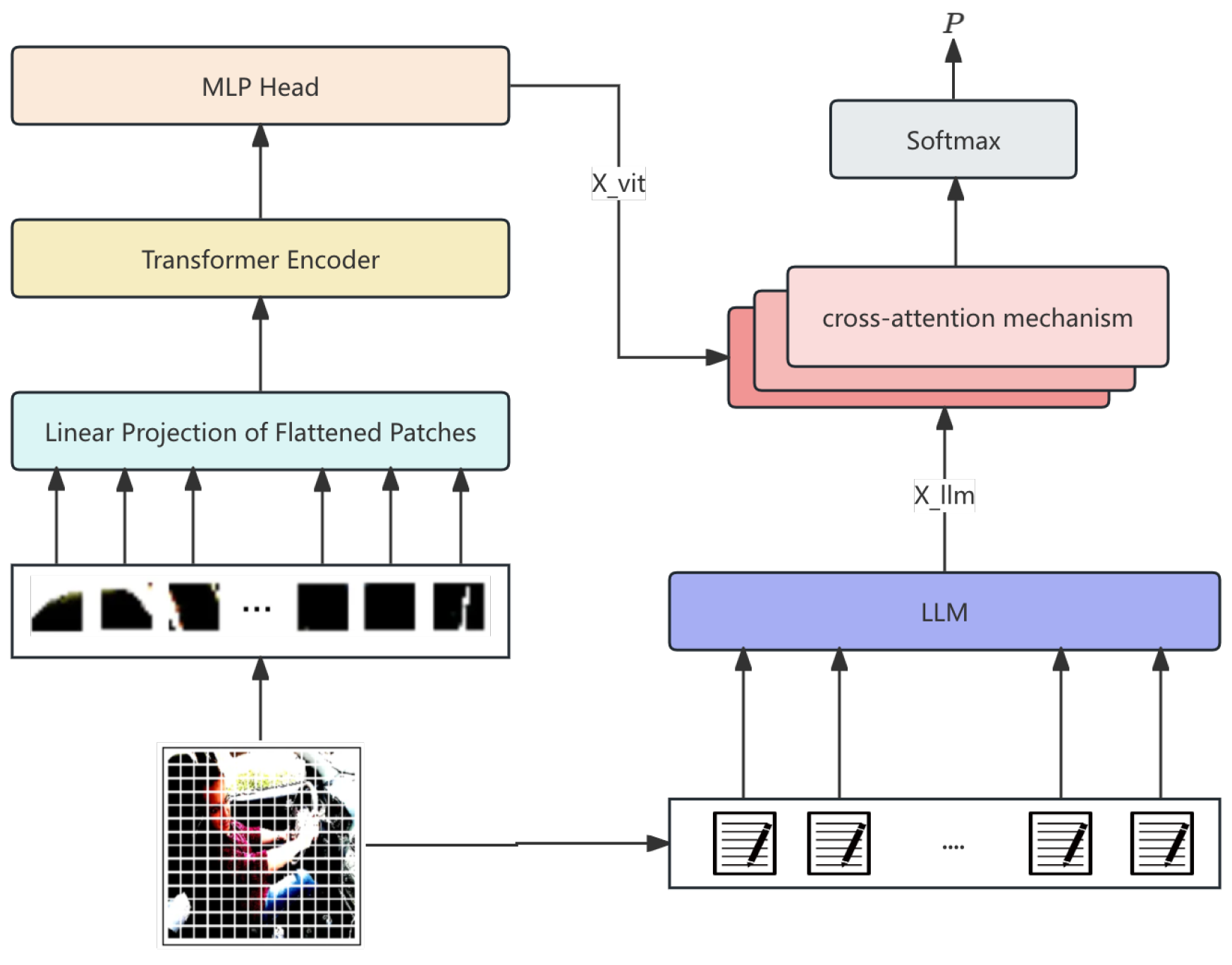 Preprints 161503 g001