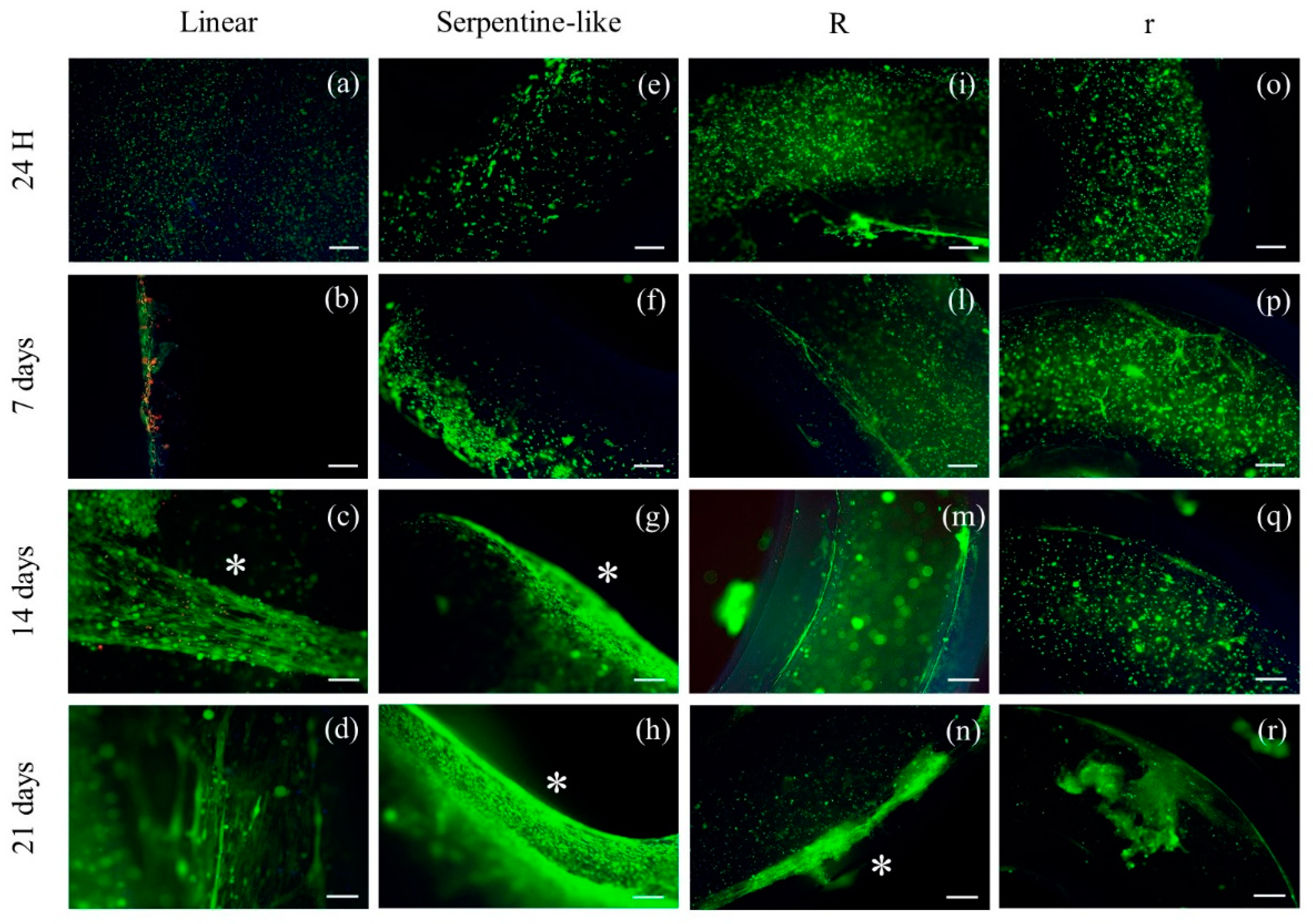 Preprints 77157 g003