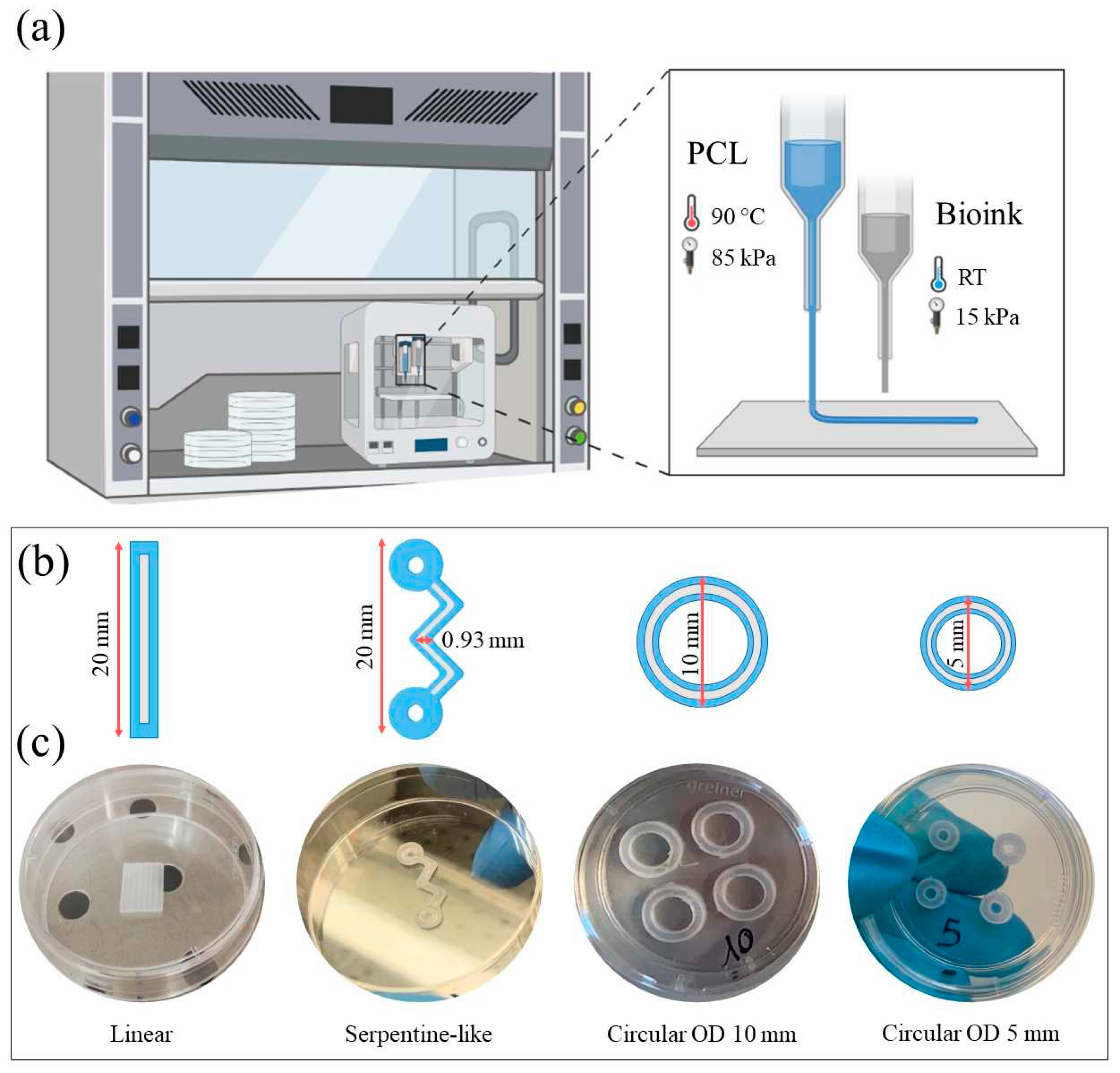 Preprints 77157 g005