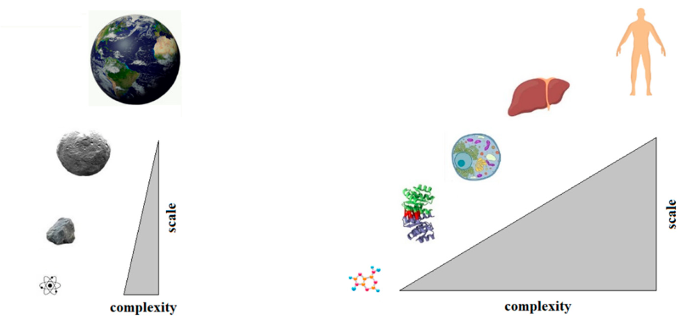 Preprints 229158 g003 Preprints 229158 g003
