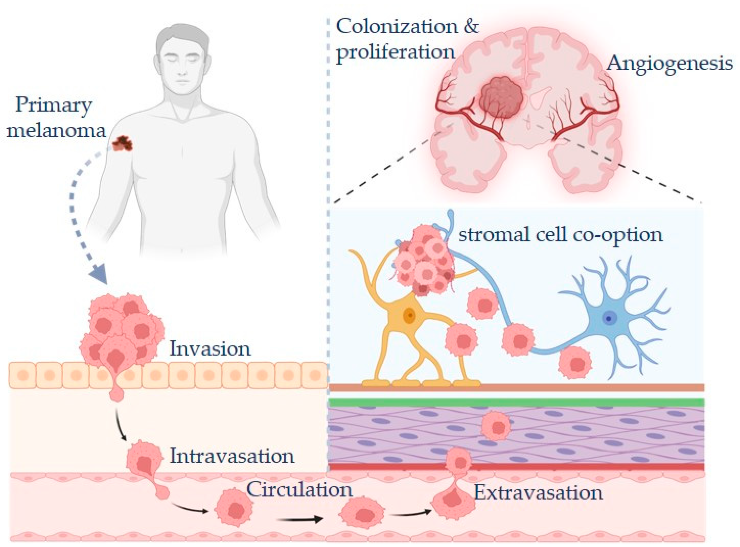 Preprints 193077 g001