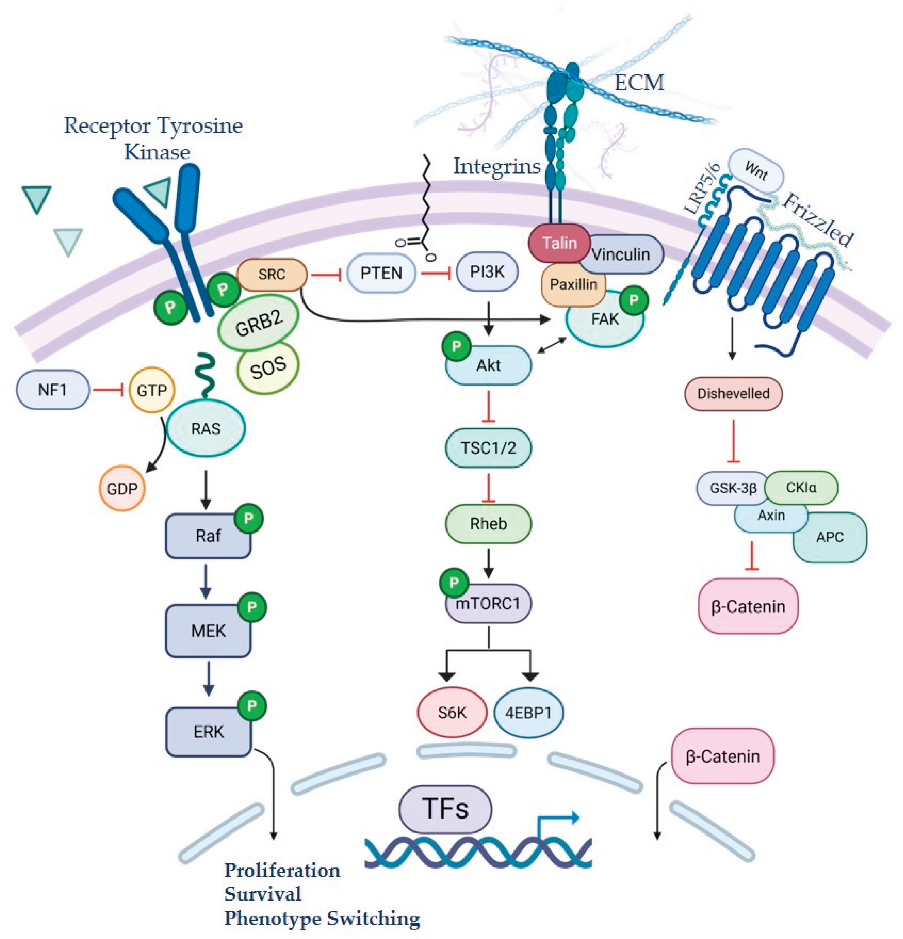 Preprints 193077 g002