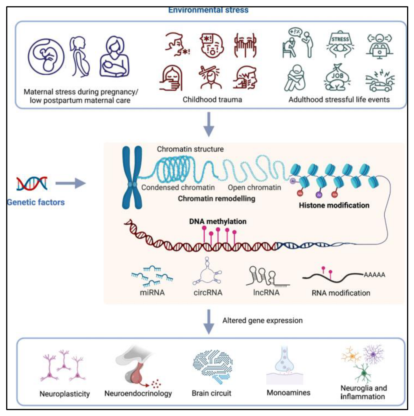 Preprints 216236 g013