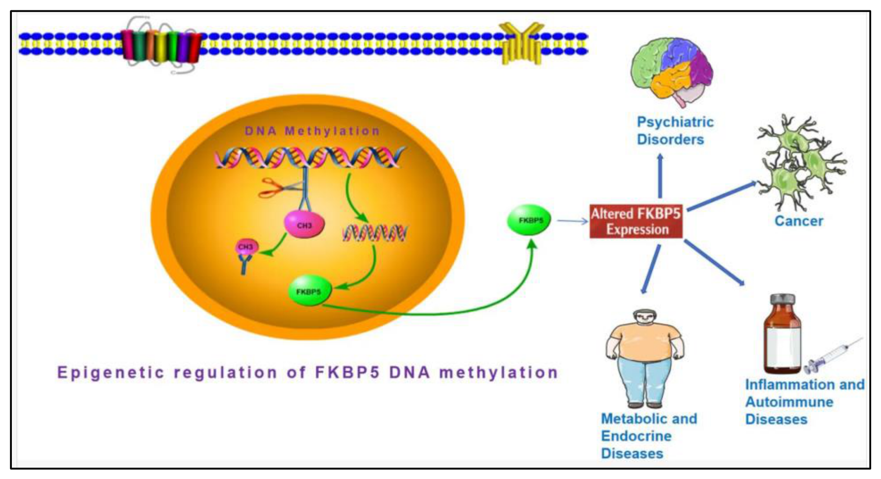 Preprints 216236 g015