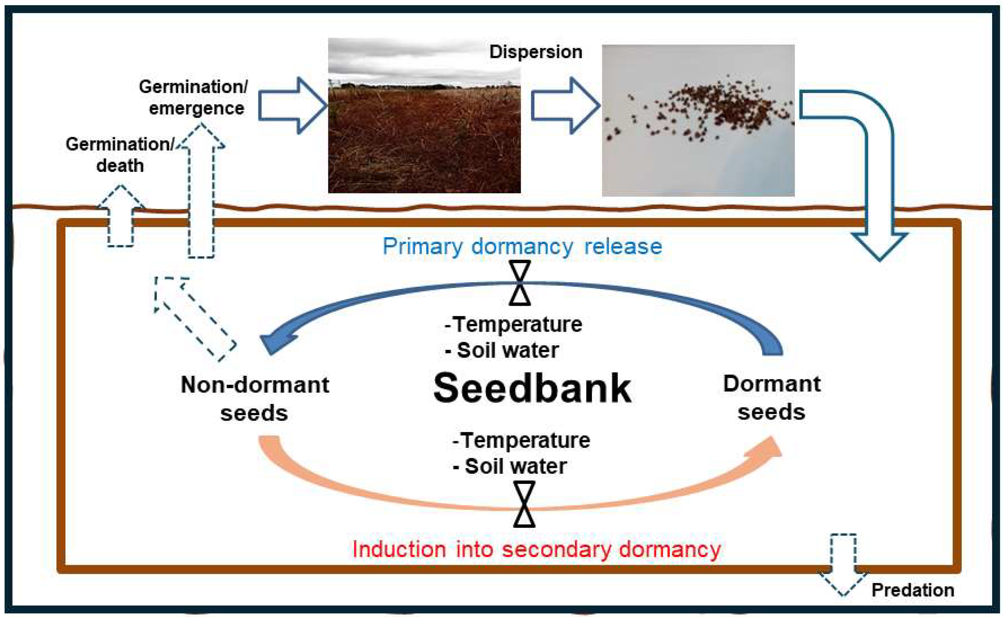 Preprints 175000 g001