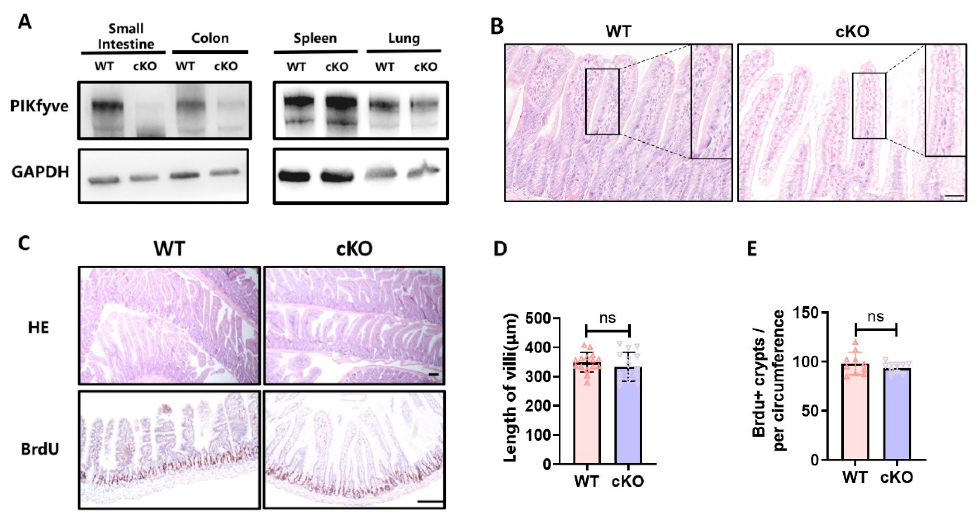 Preprints 201422 g001