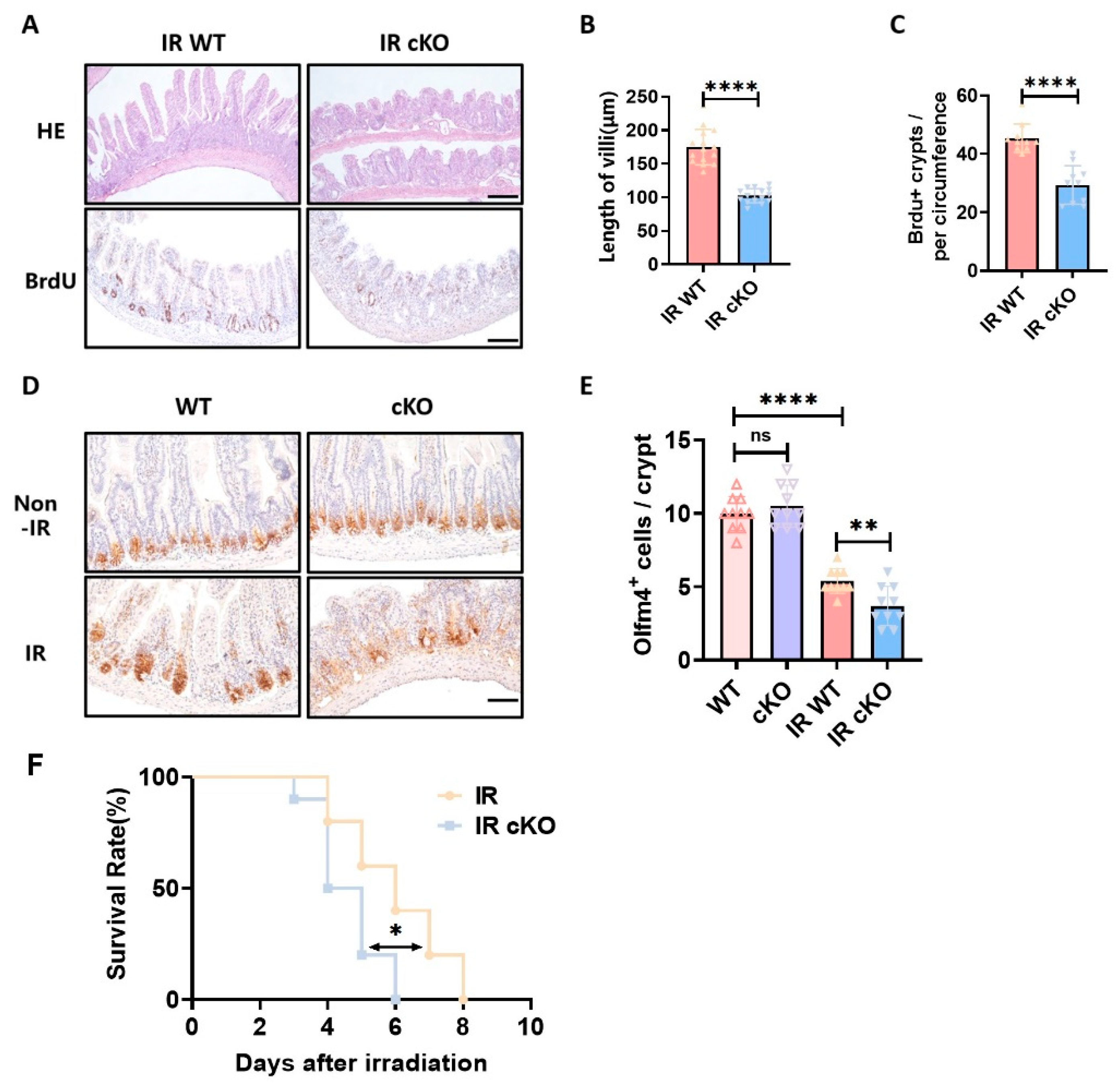 Preprints 201422 g002