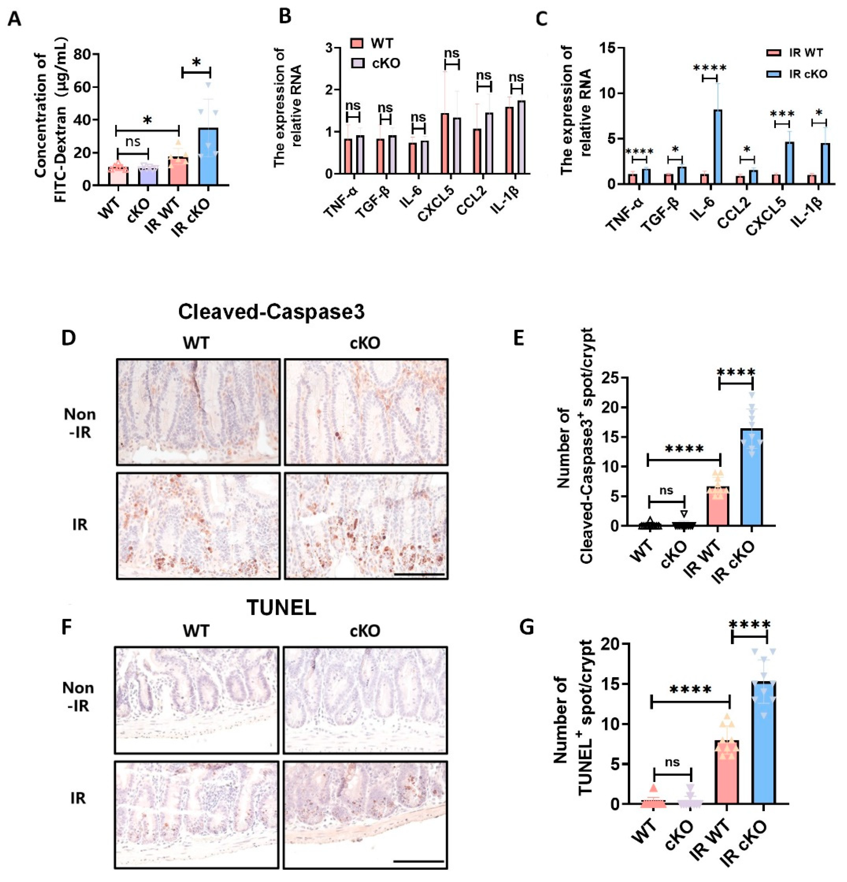 Preprints 201422 g003